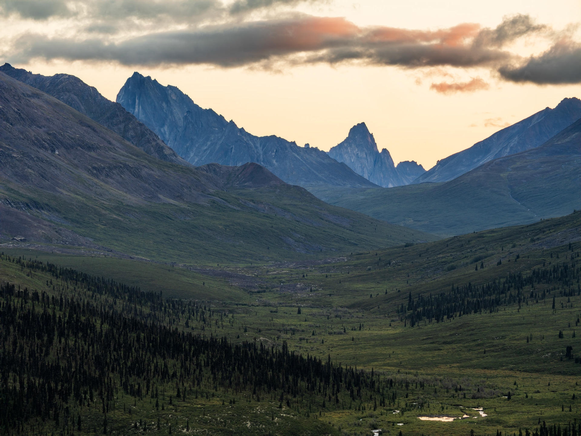 The amazingly beautiful Tombstone mountains in the distance.