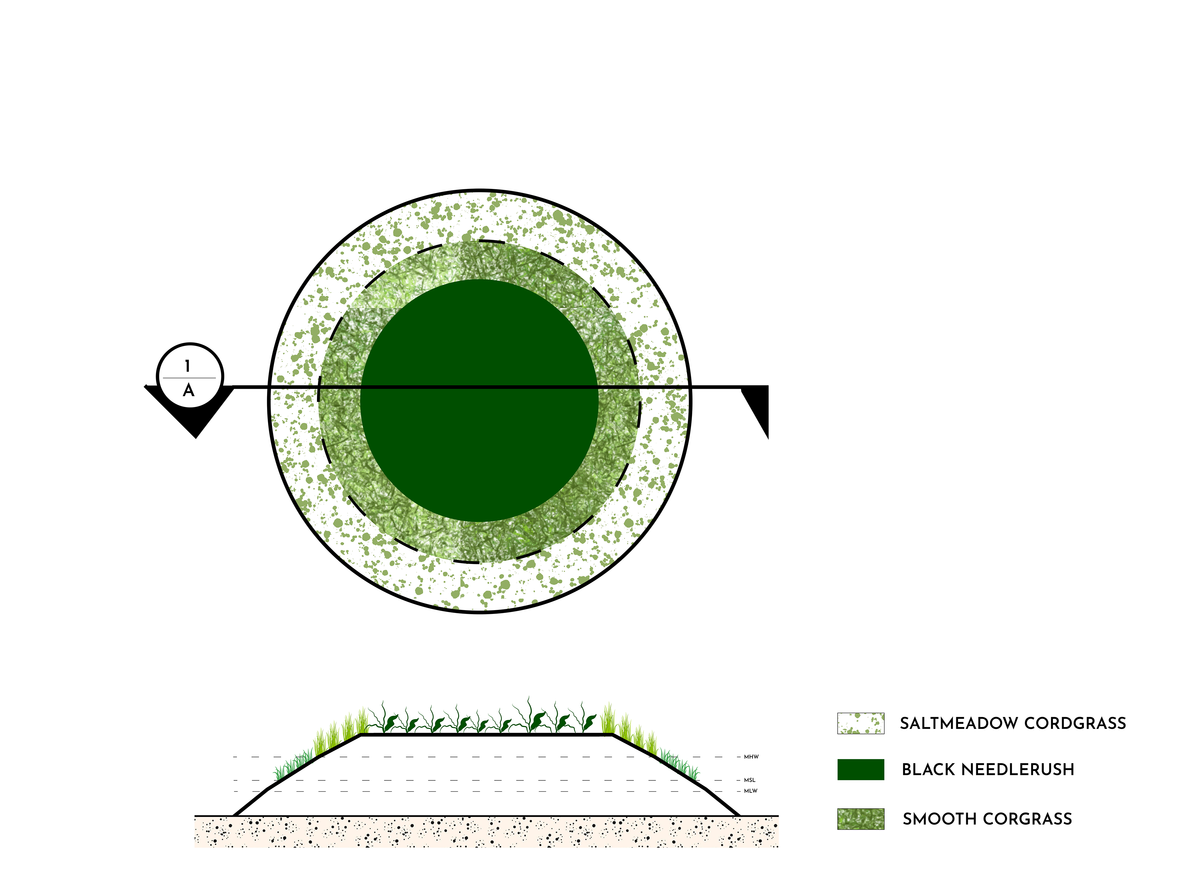 Marsh Mounds section