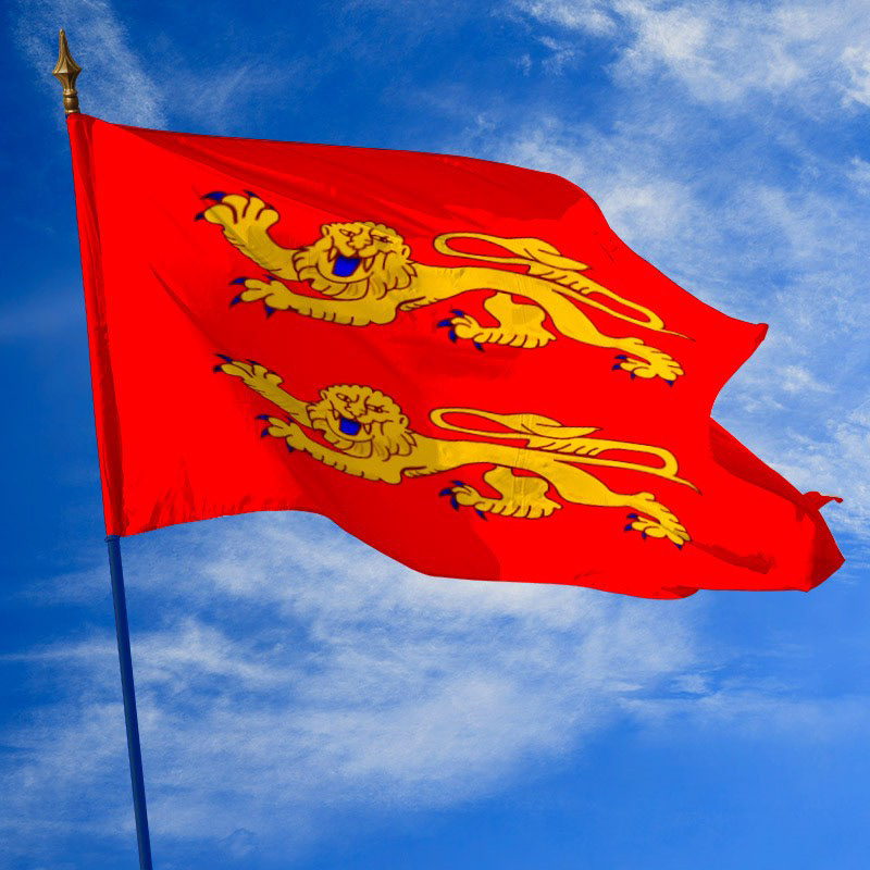 Photo du drapeau normand pour référence