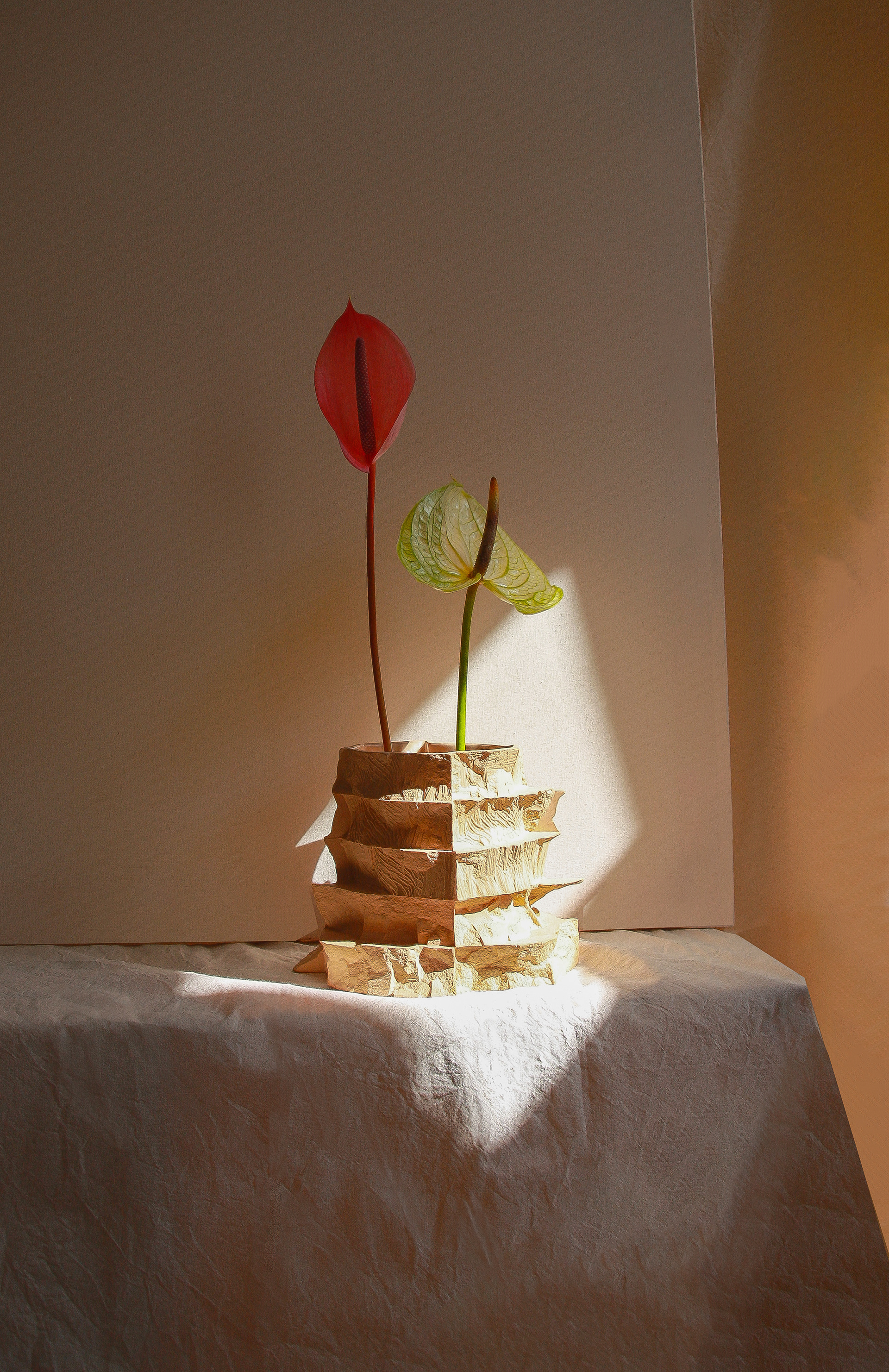 5 Layers in RAW