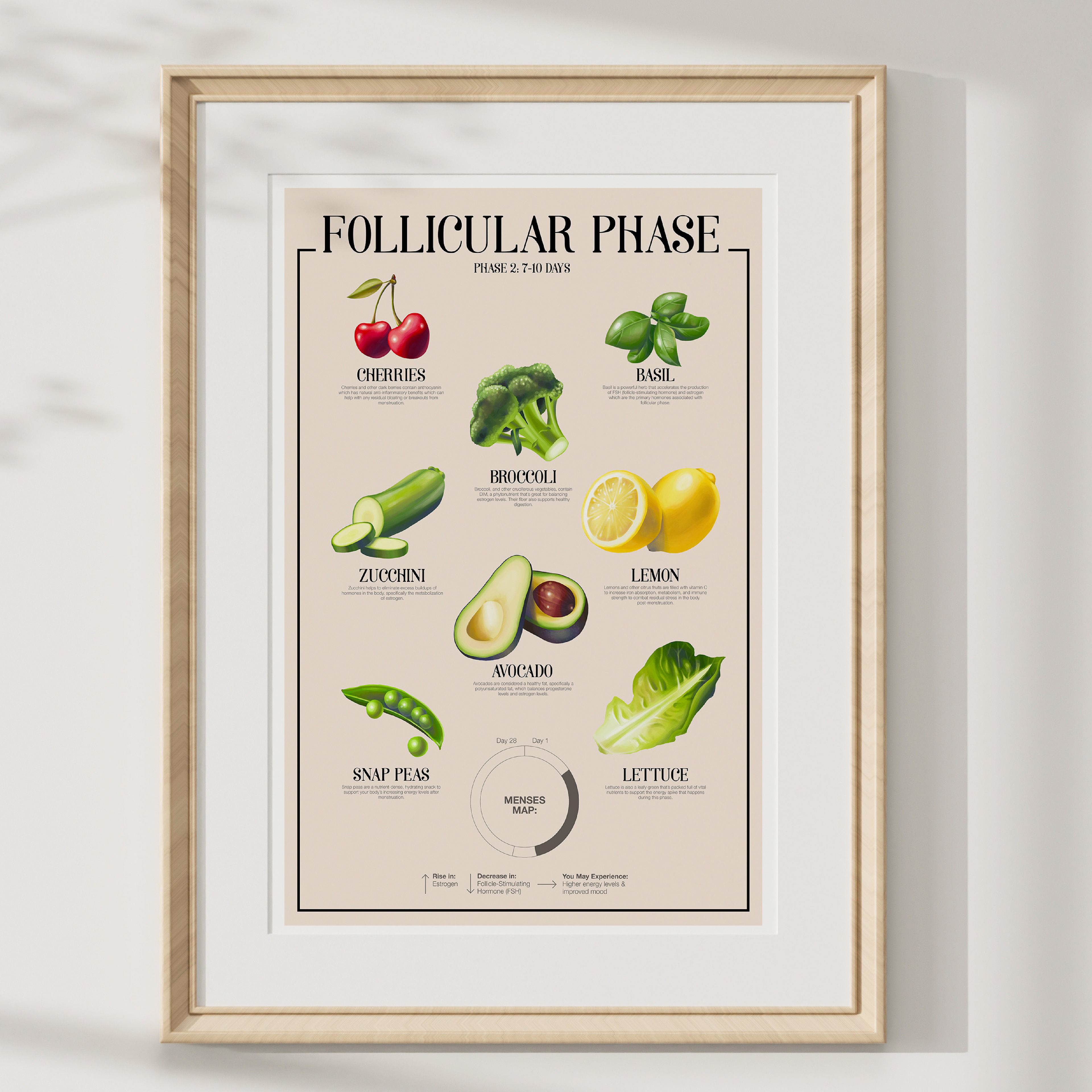Follicular Phase Poster