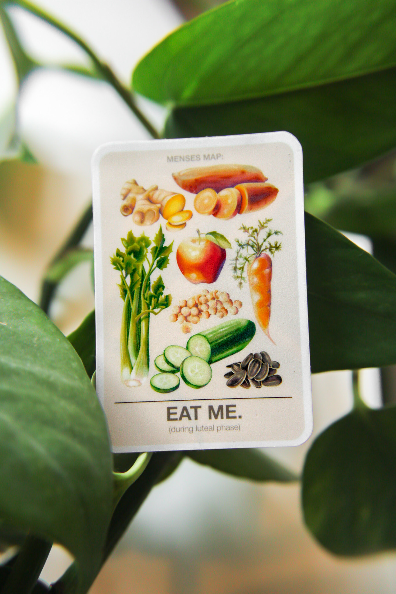 Luteal Phase Sticker