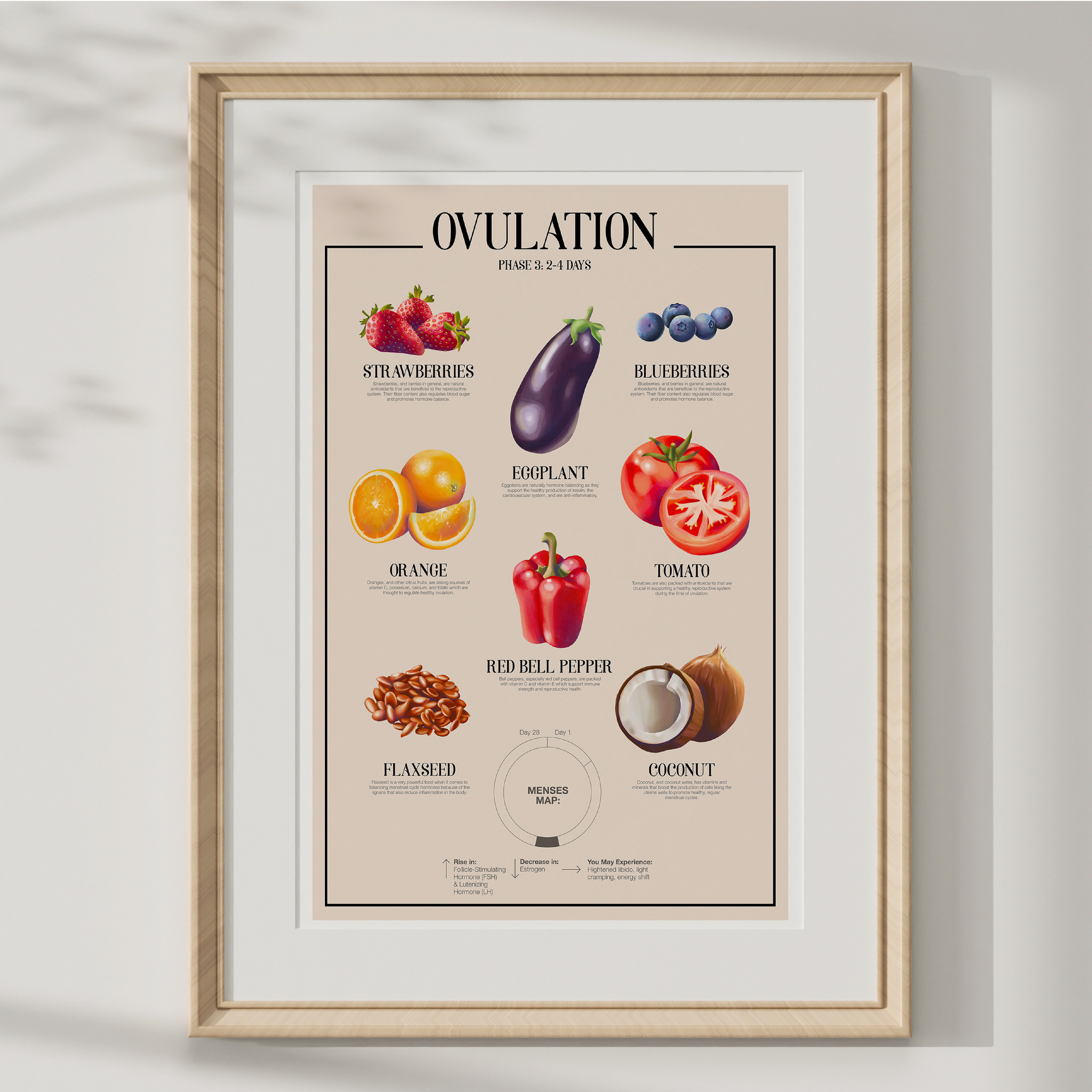 Ovulatory Phase Poster
