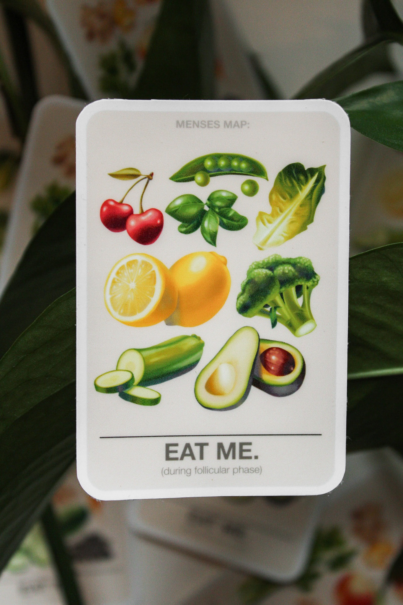 Follicular Phase Sticker