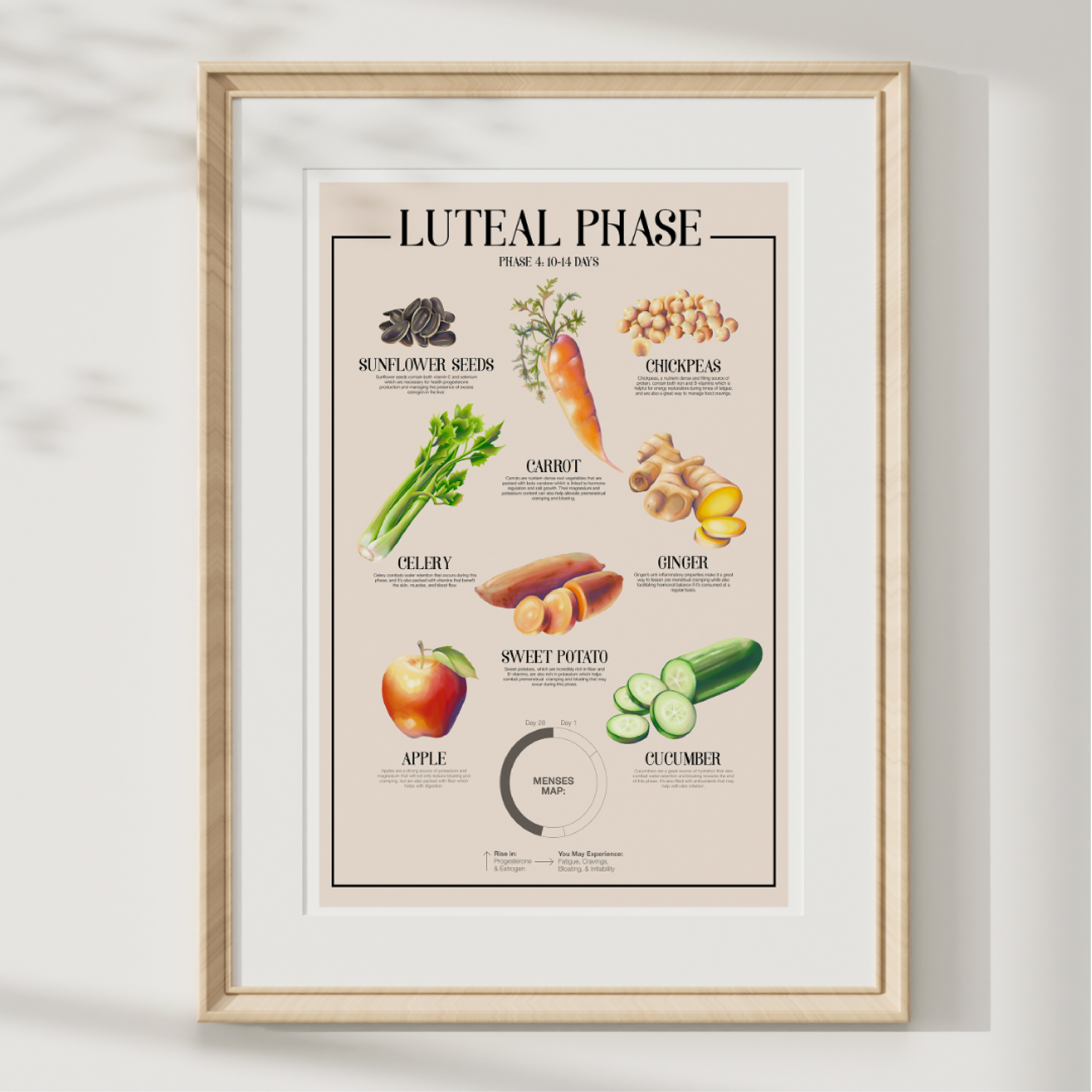 Luteal Phase Poster