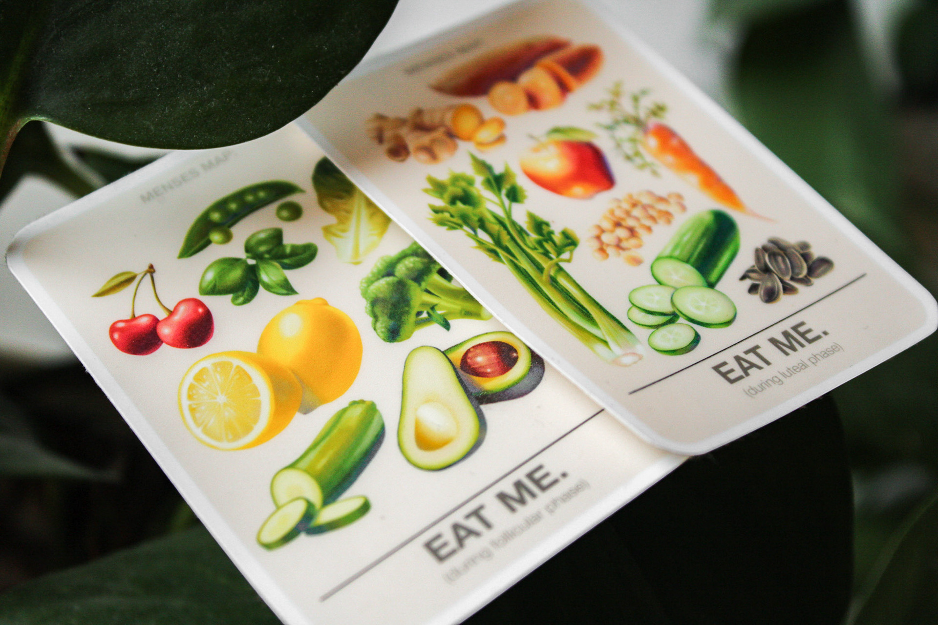 "Menses Map Minis" Stickers