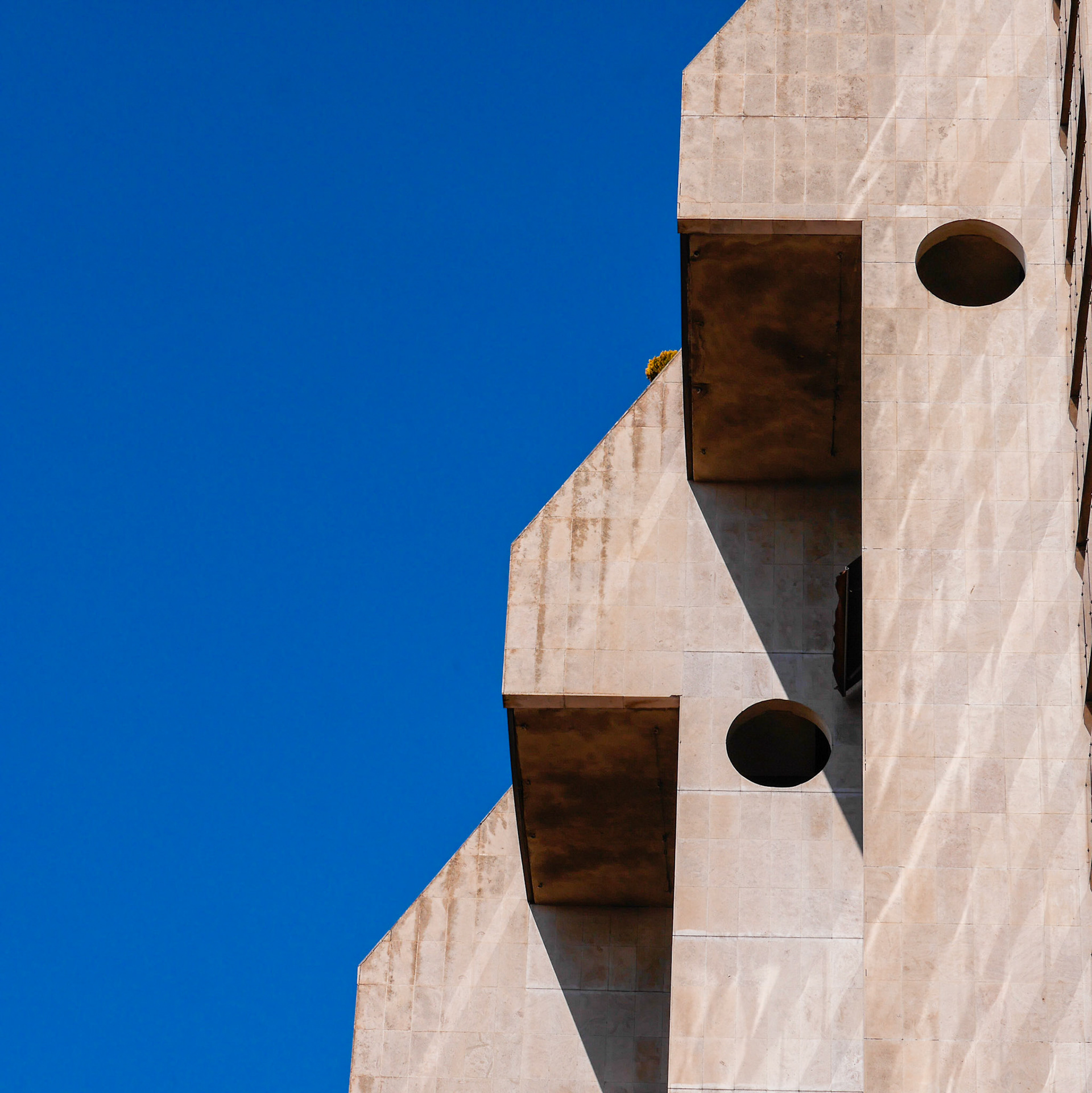 Montpellier#8