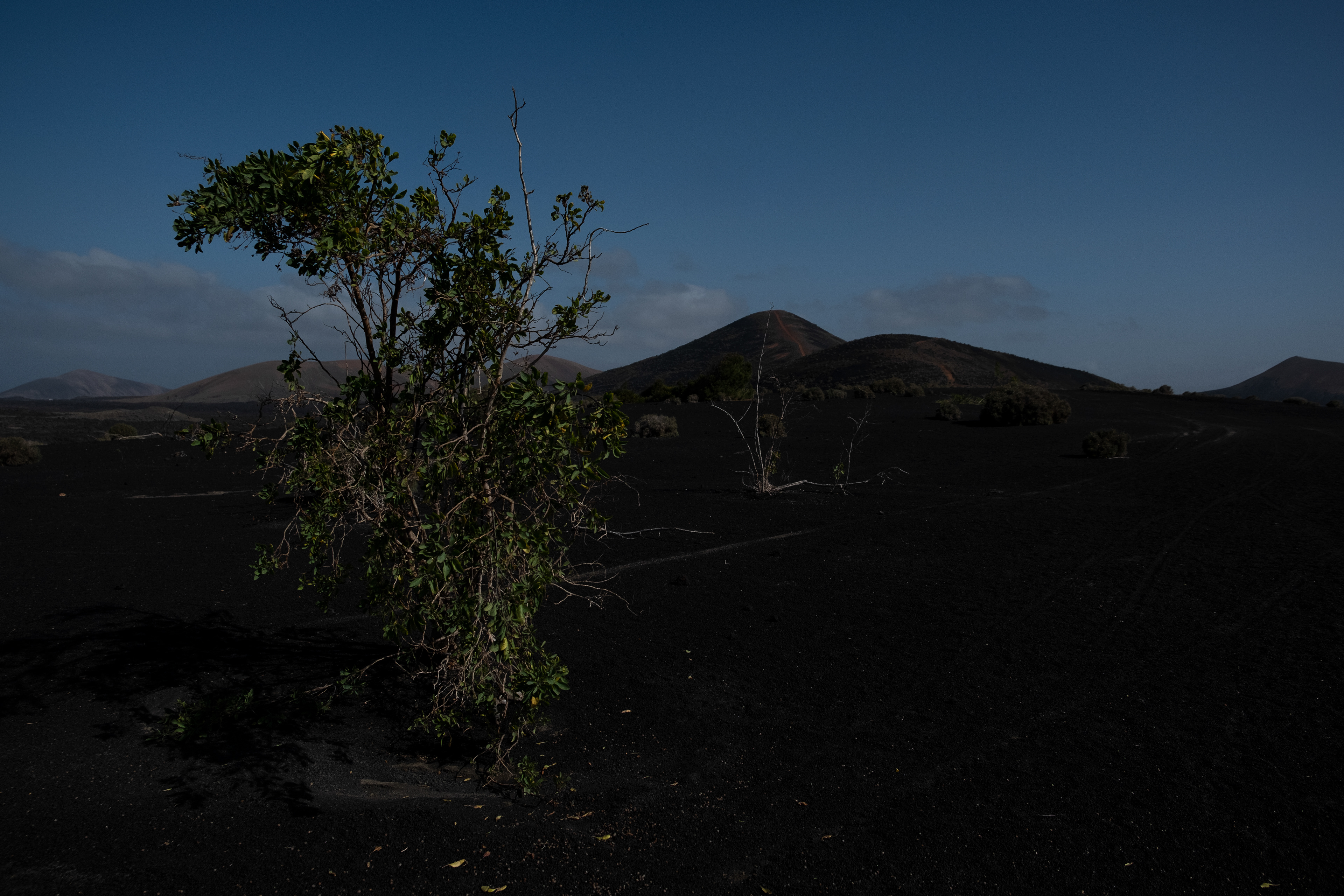 Lanzarote # 7 - 1/7