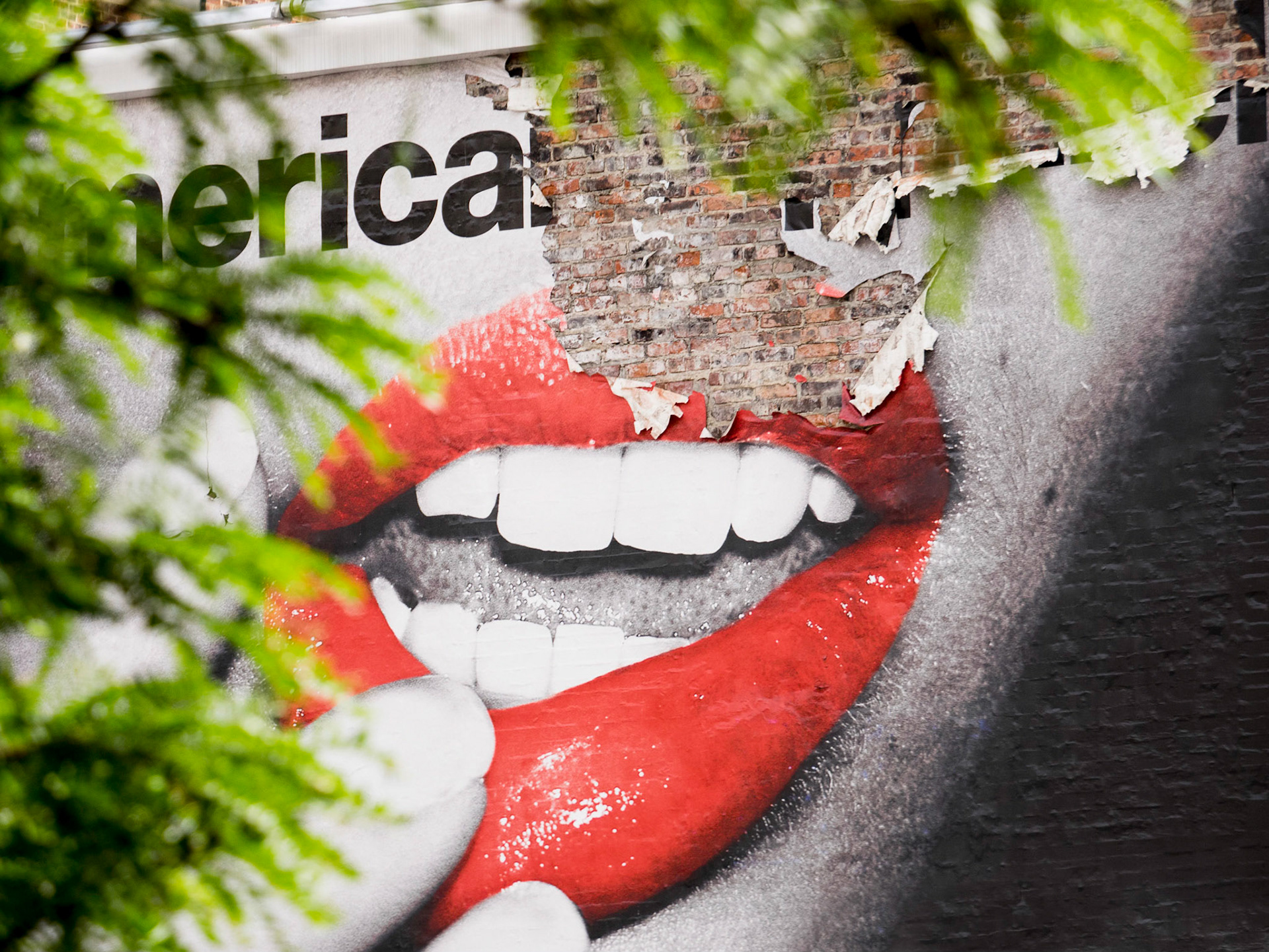 USA #1- La Déchirure - 4/7