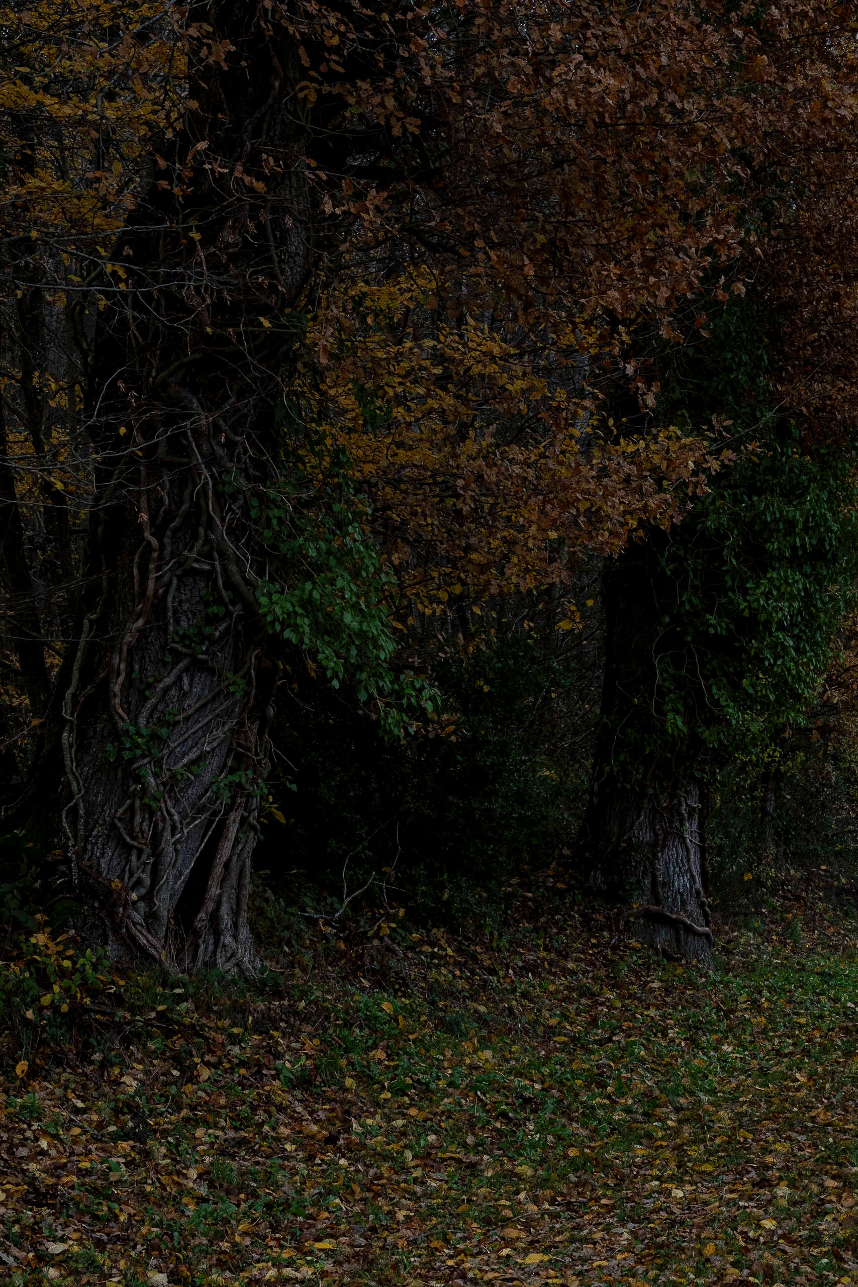 A la bordure du Temps #15 - 2/7