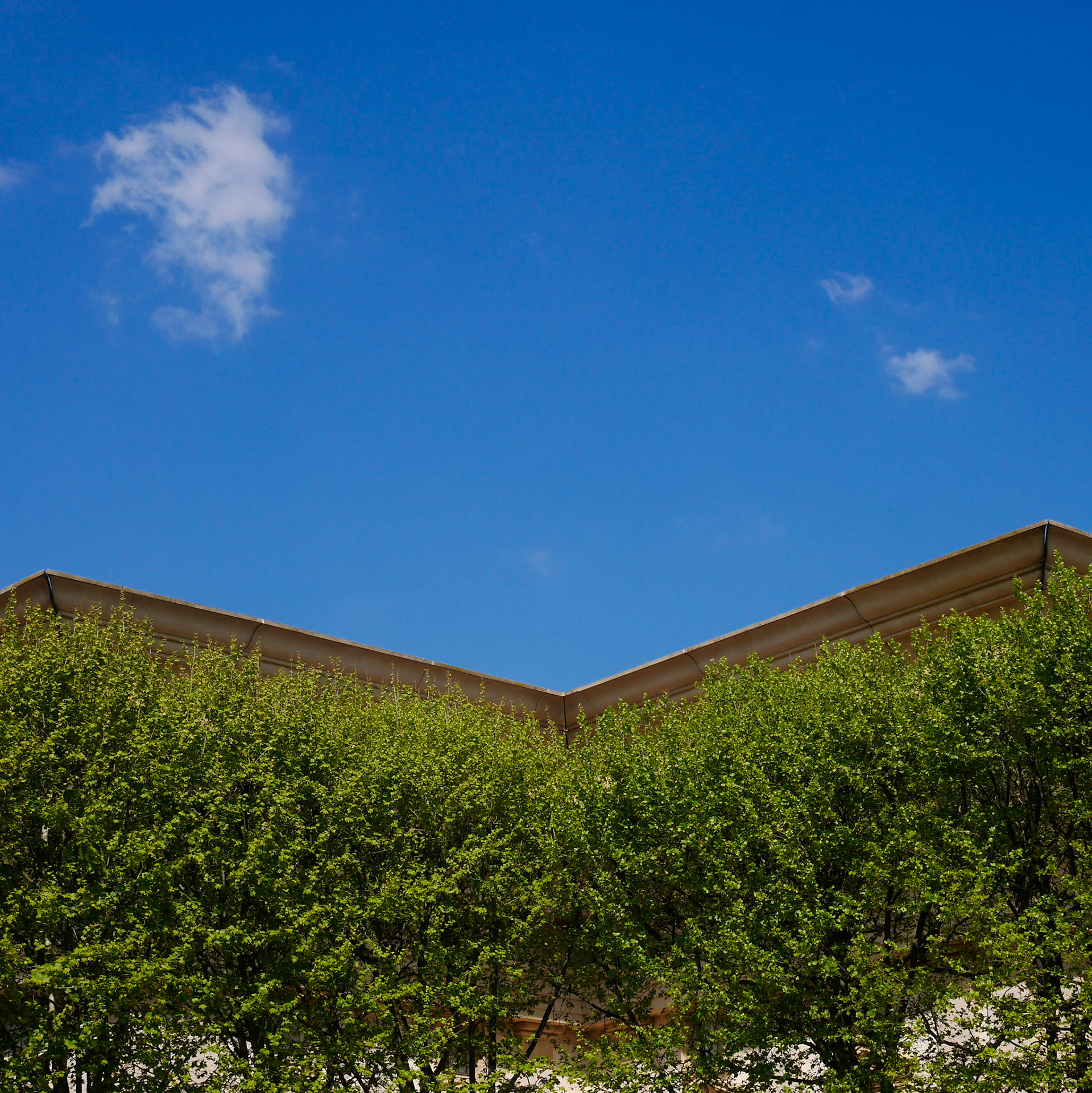 Montpellier#9