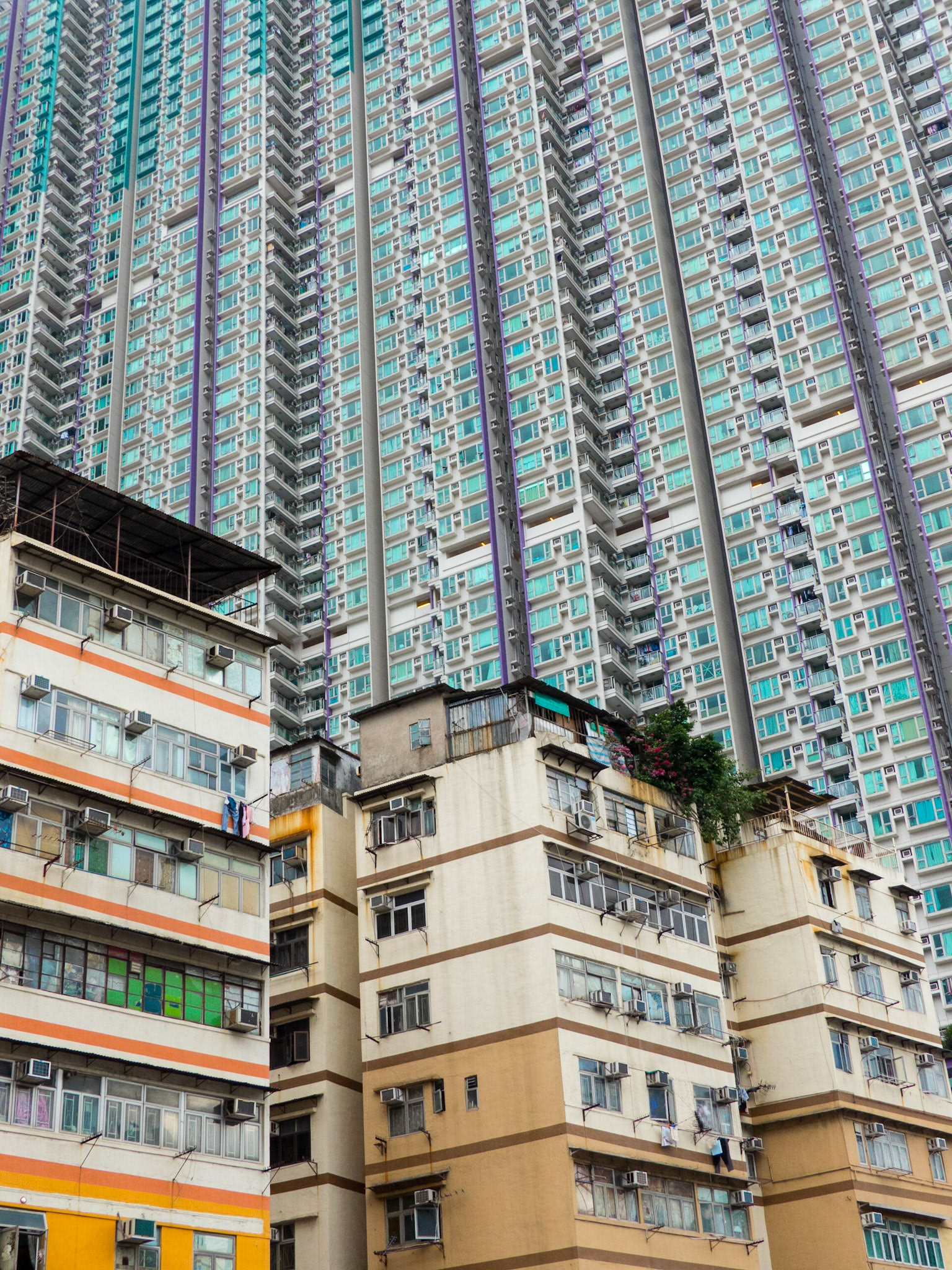 Hong Kong #7 - 2/7