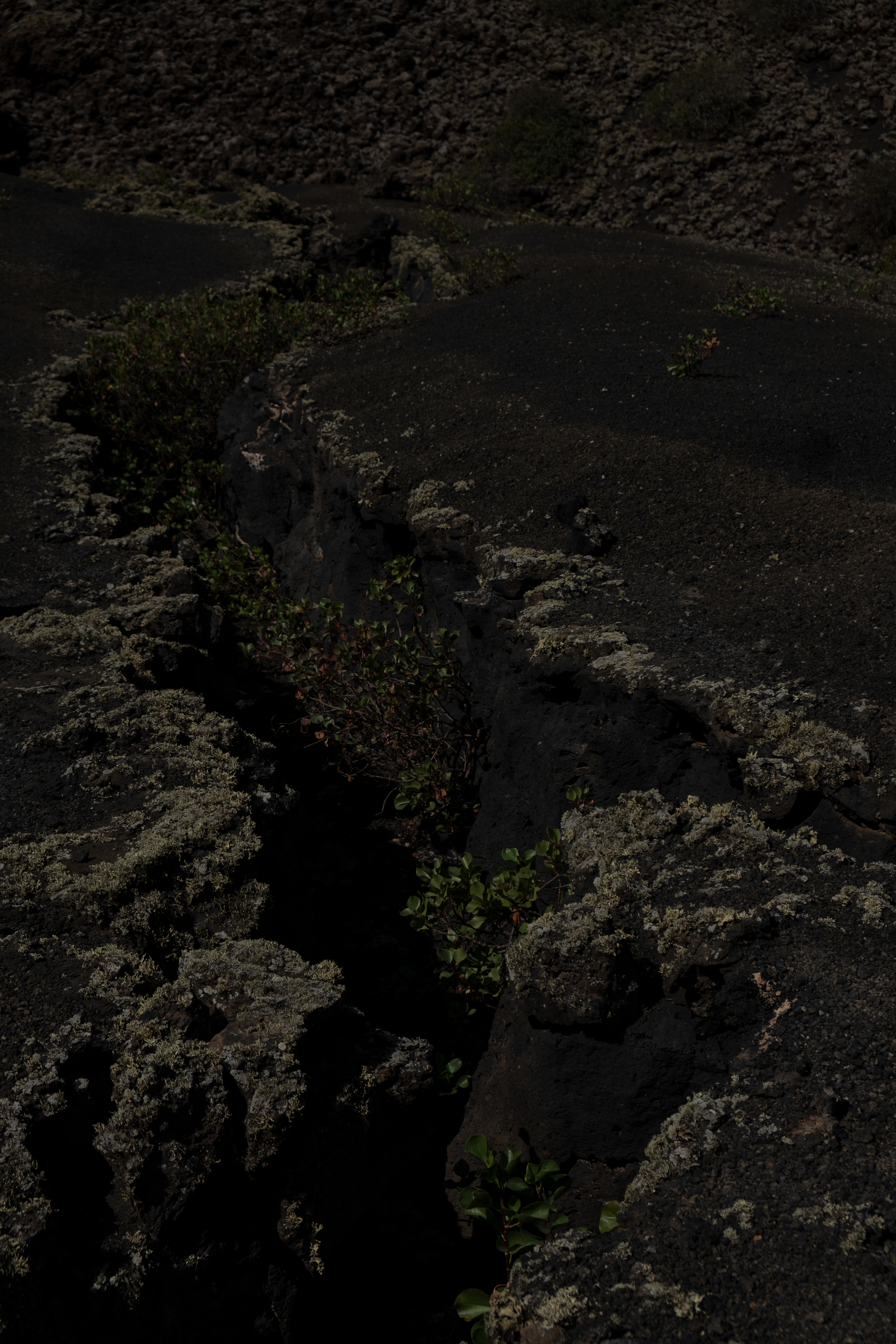 Lanzarote # 12 - 1/7