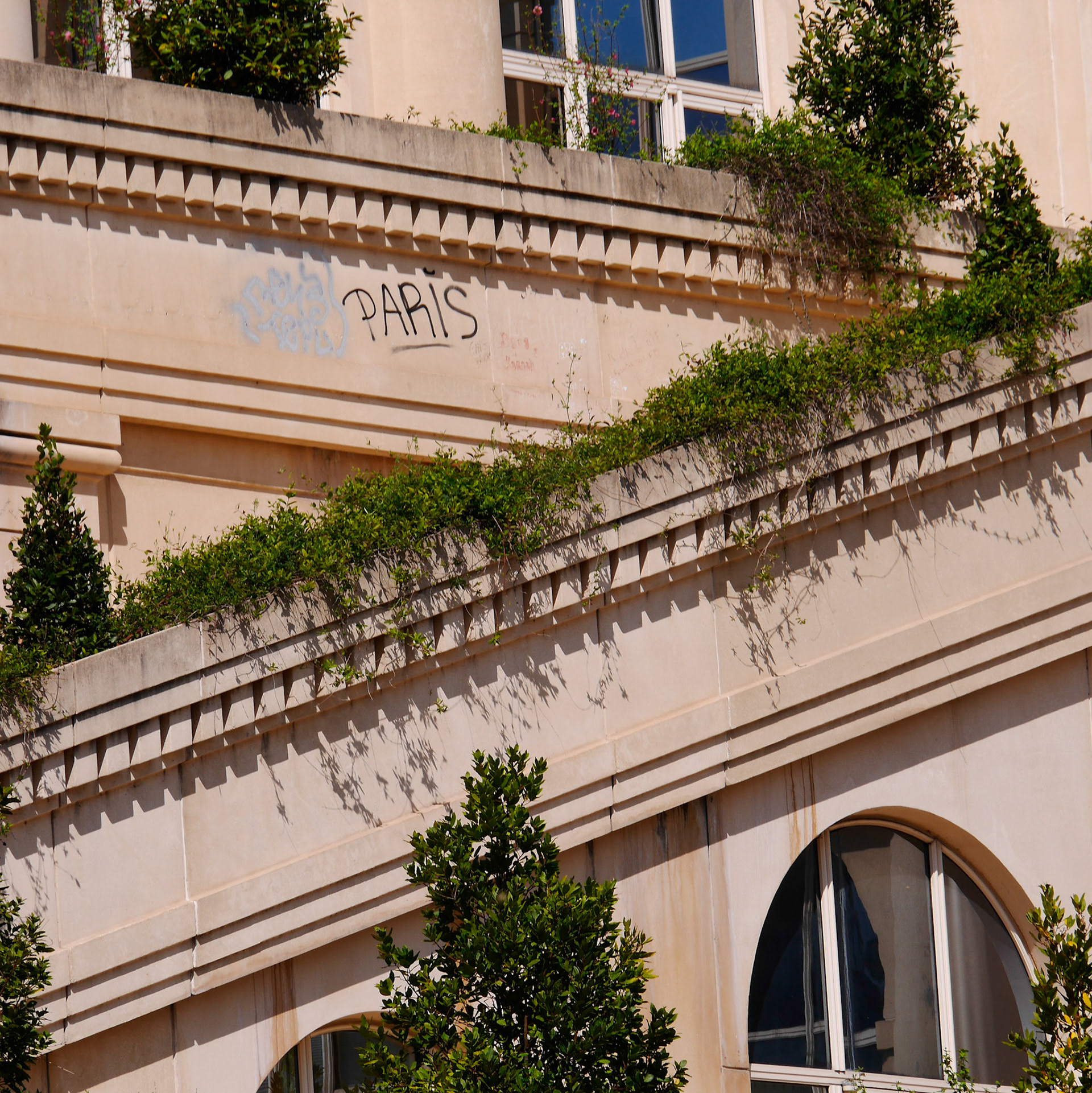 Montpellier#7