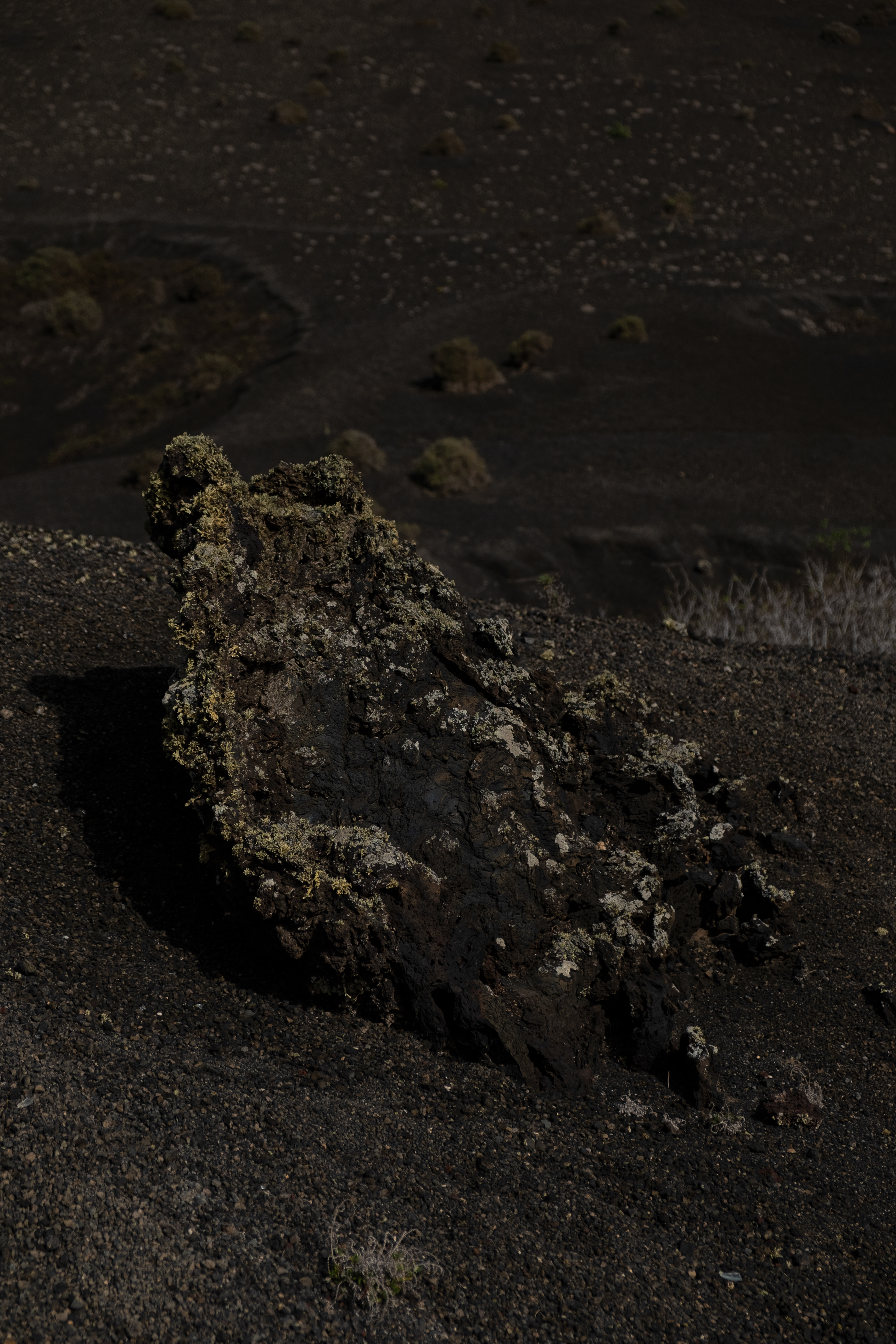 Lanzarote # 13 - 1/7
