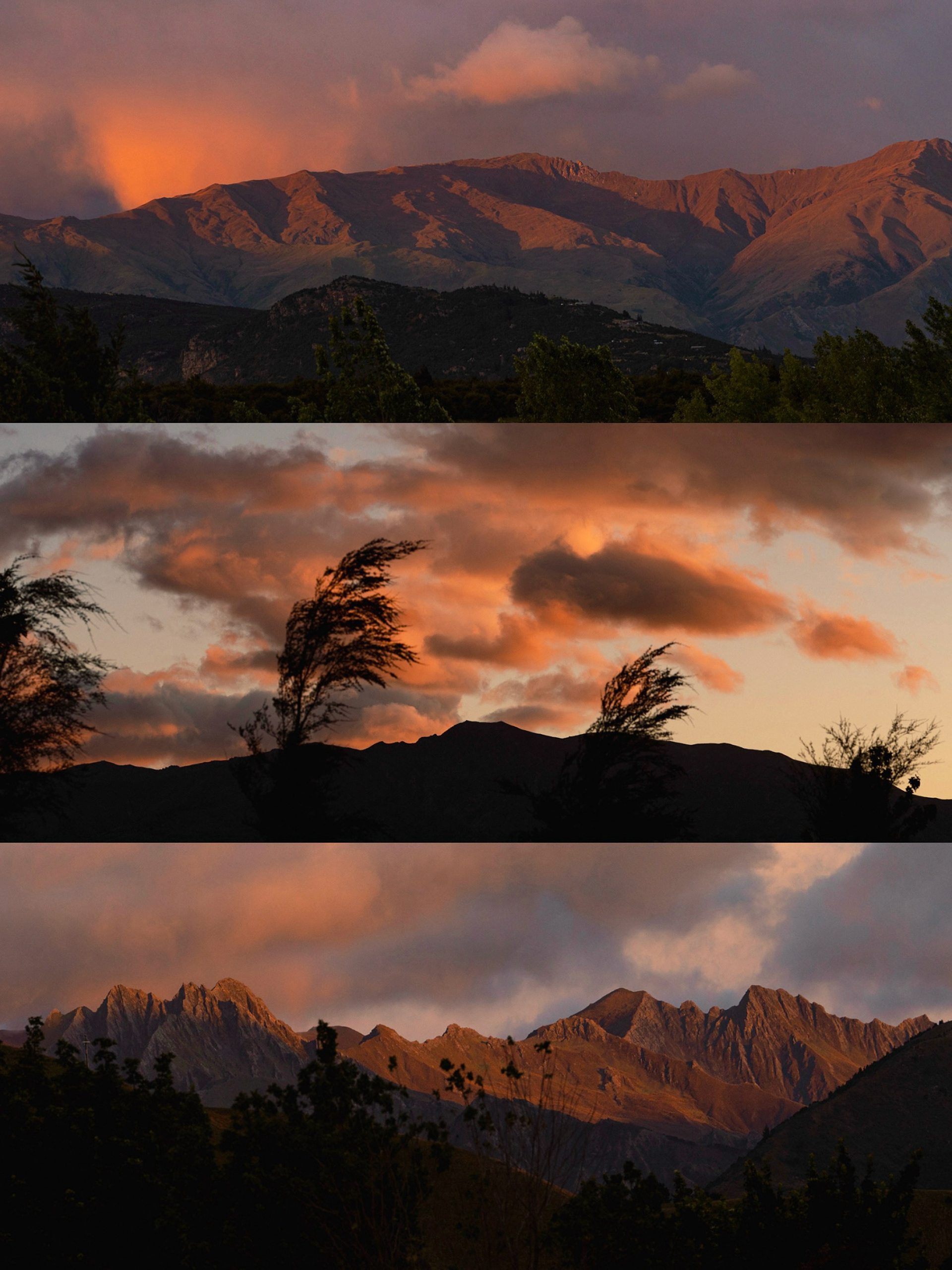 New Zealand