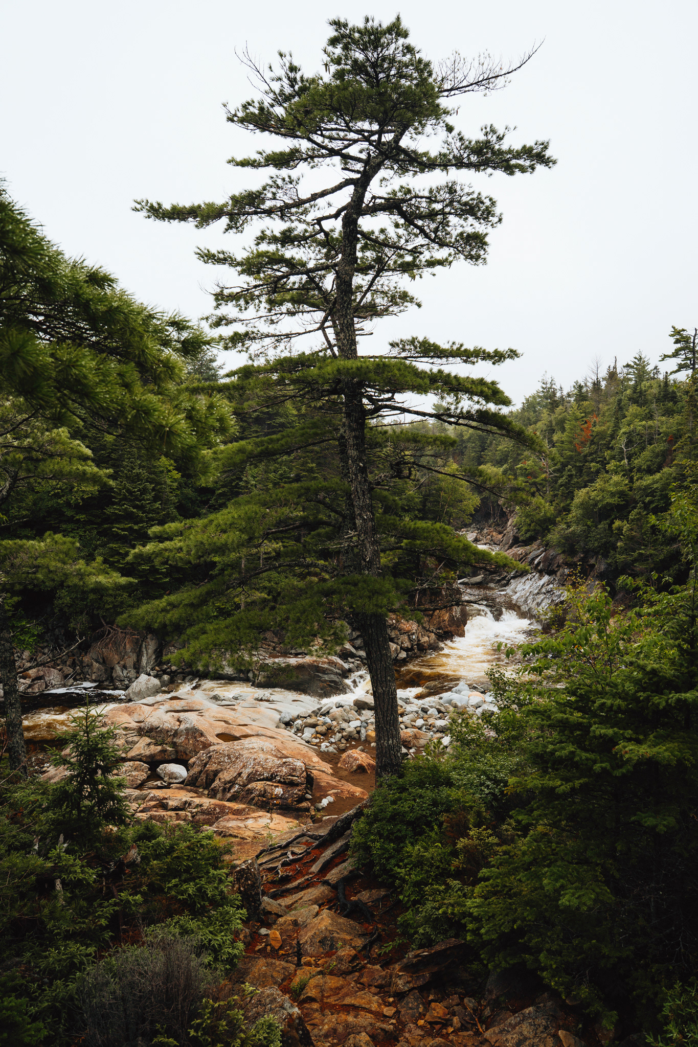 British Columbia