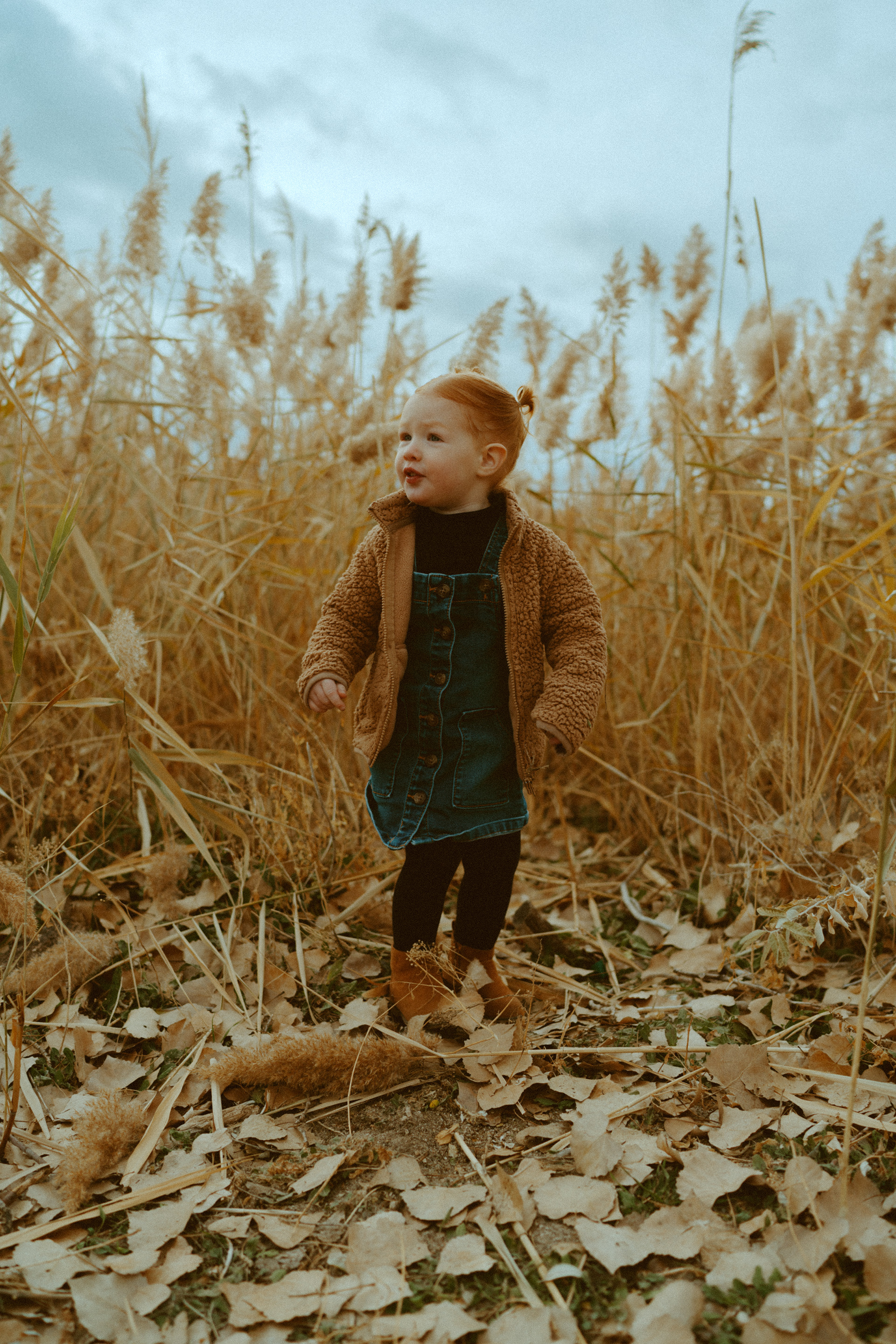 afton wy photographer