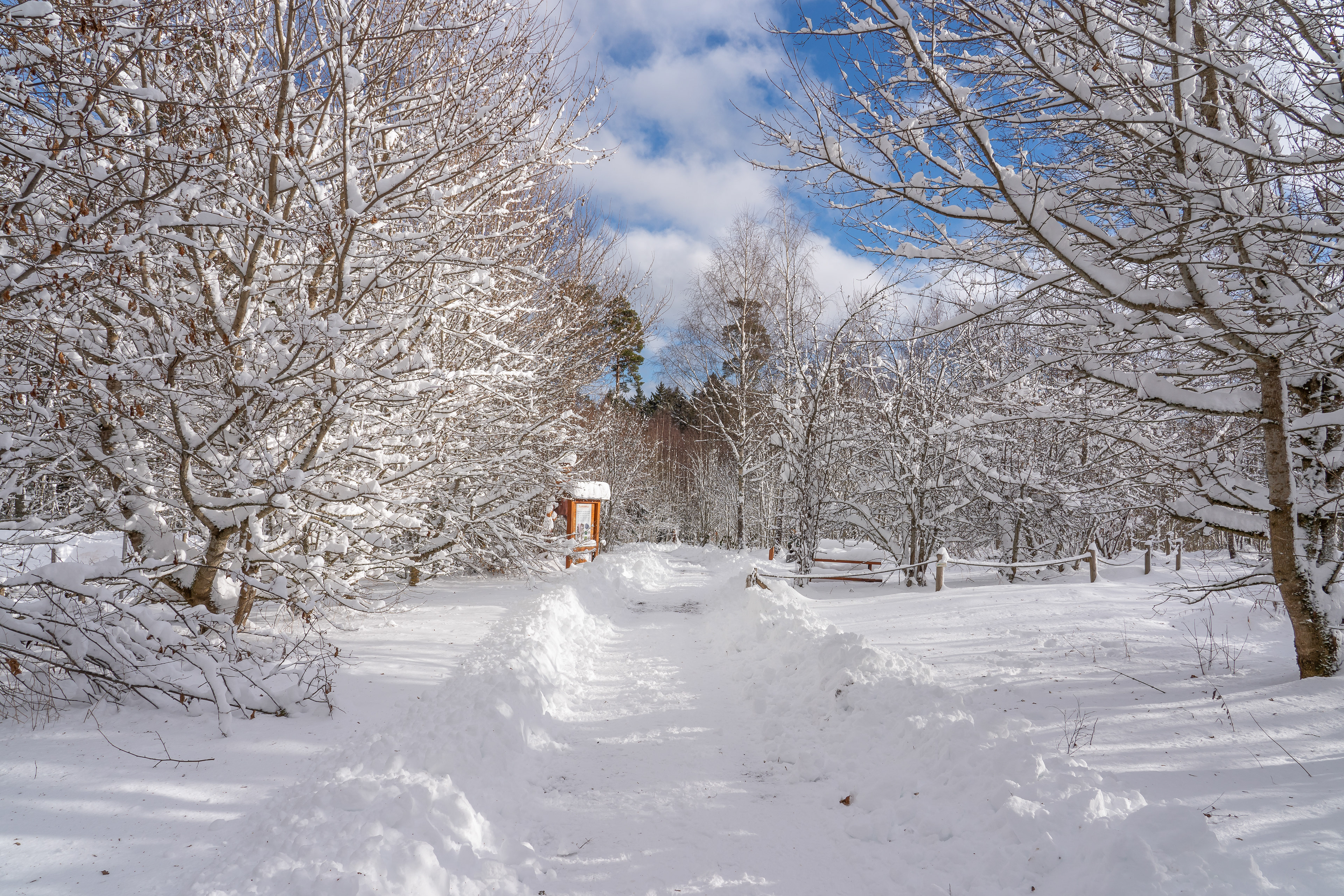 Skulpturenpark Grafenhausen