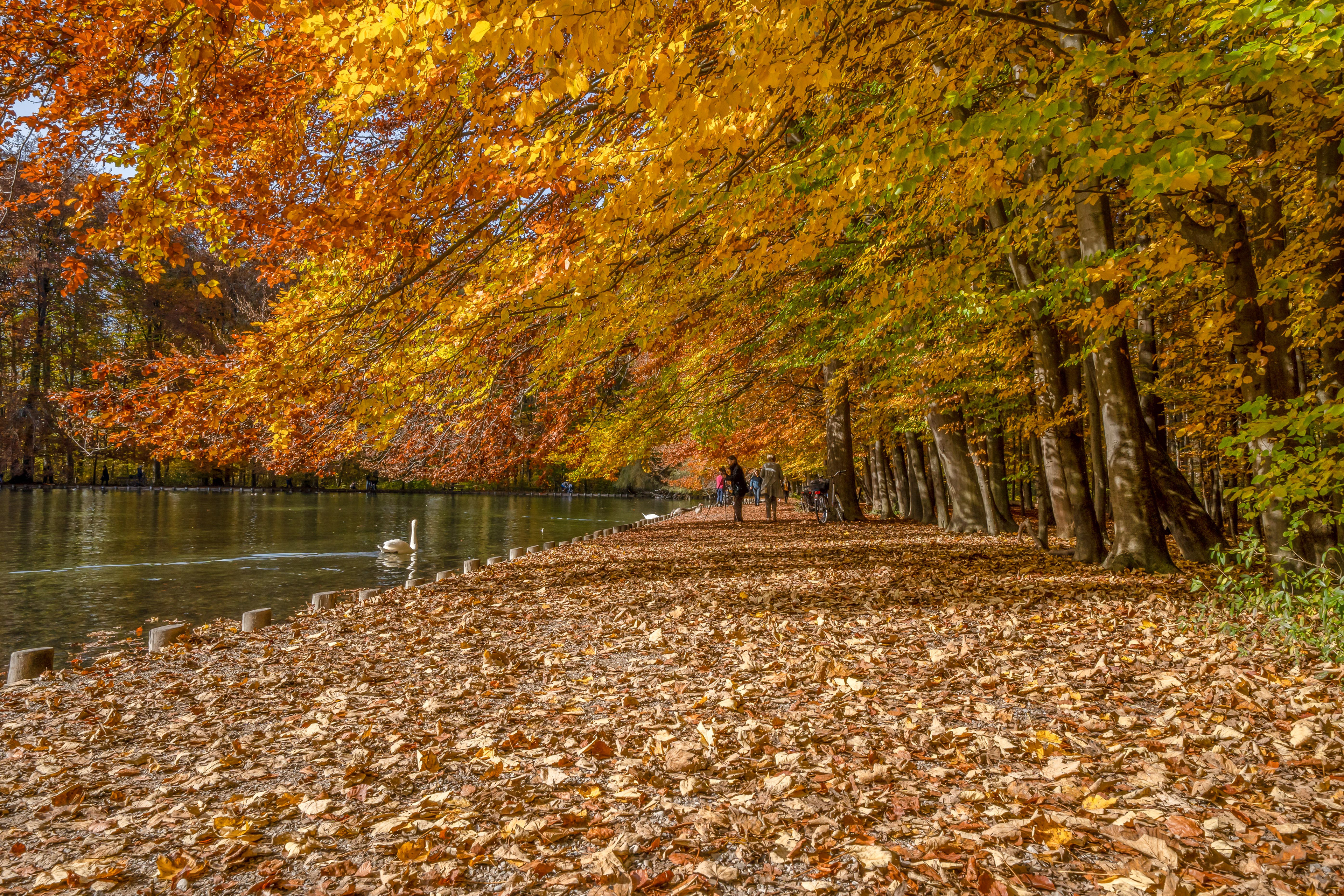 Herbst am See bei Augsburg