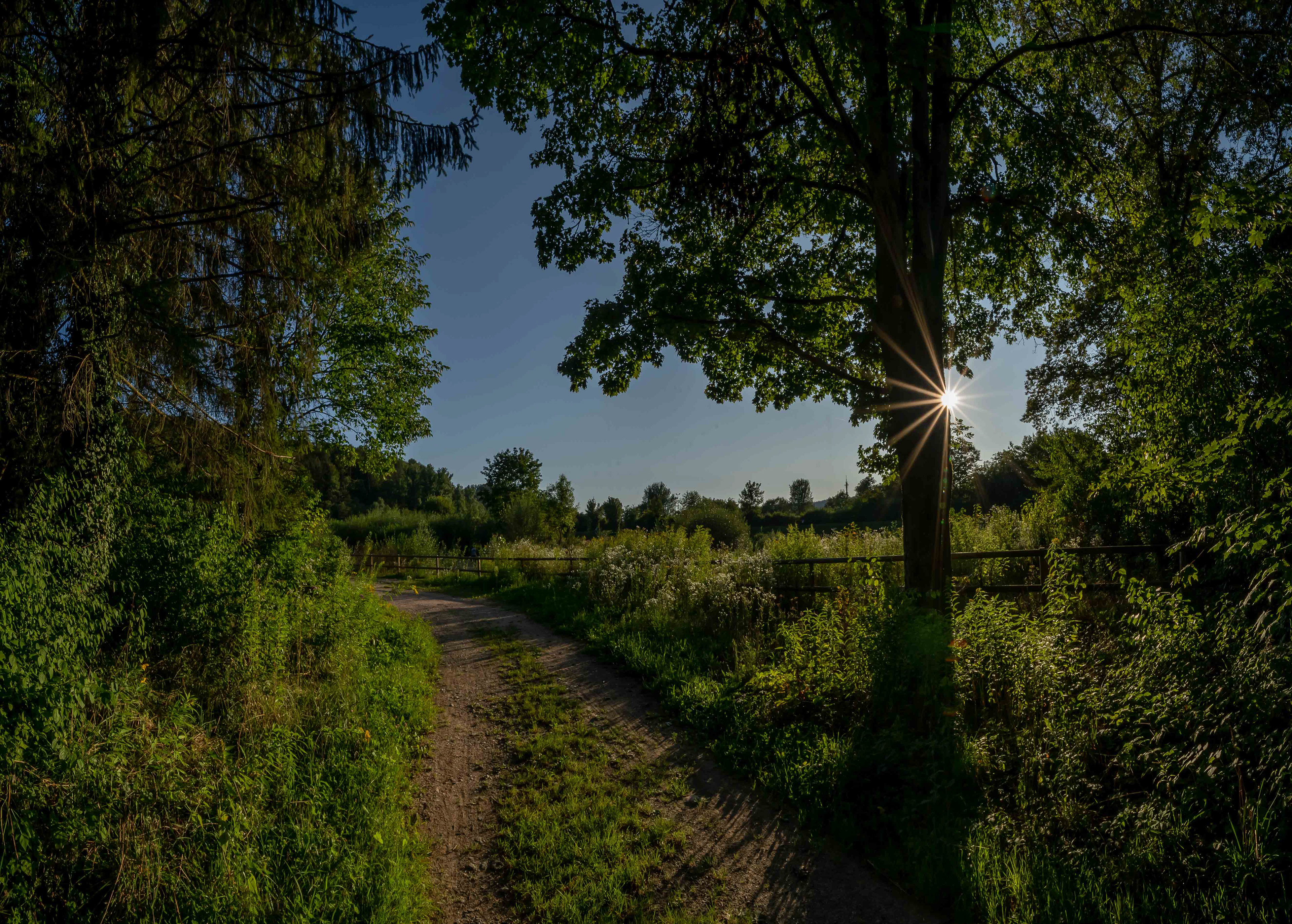 Tiengen beim Langen Stein