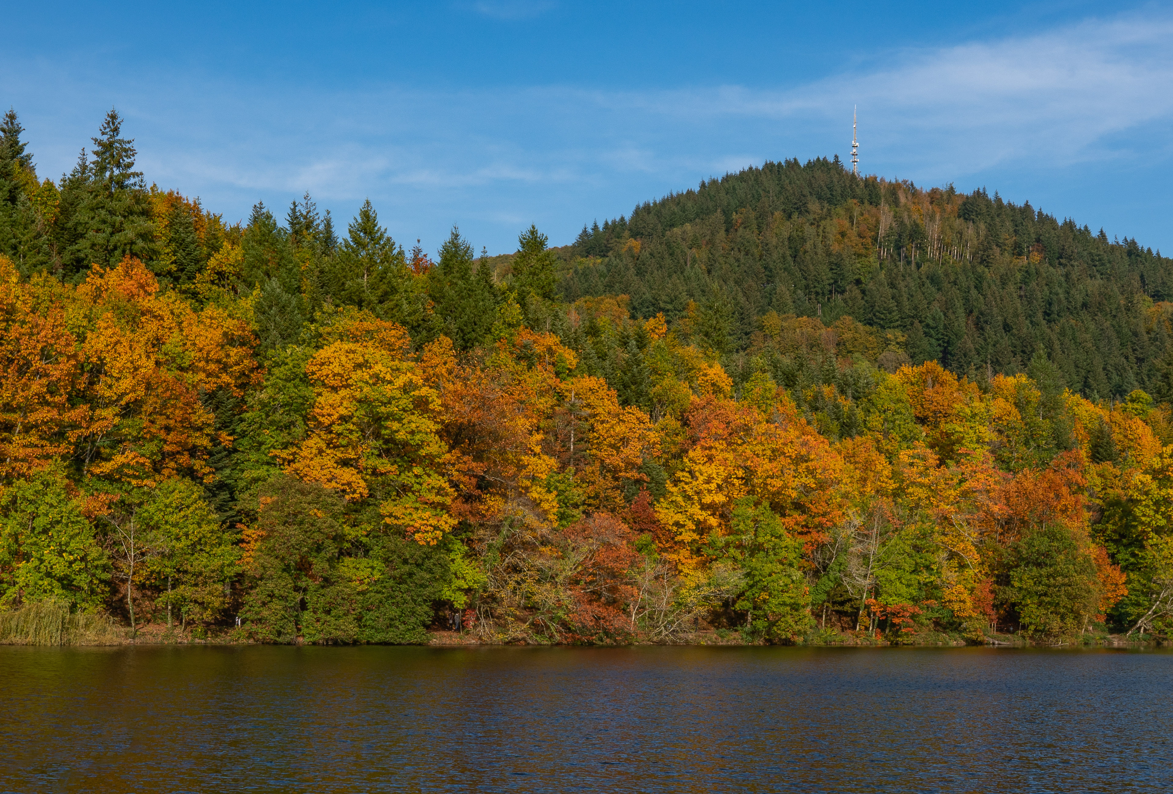 Herbst am Bergsee Bad Säckingen