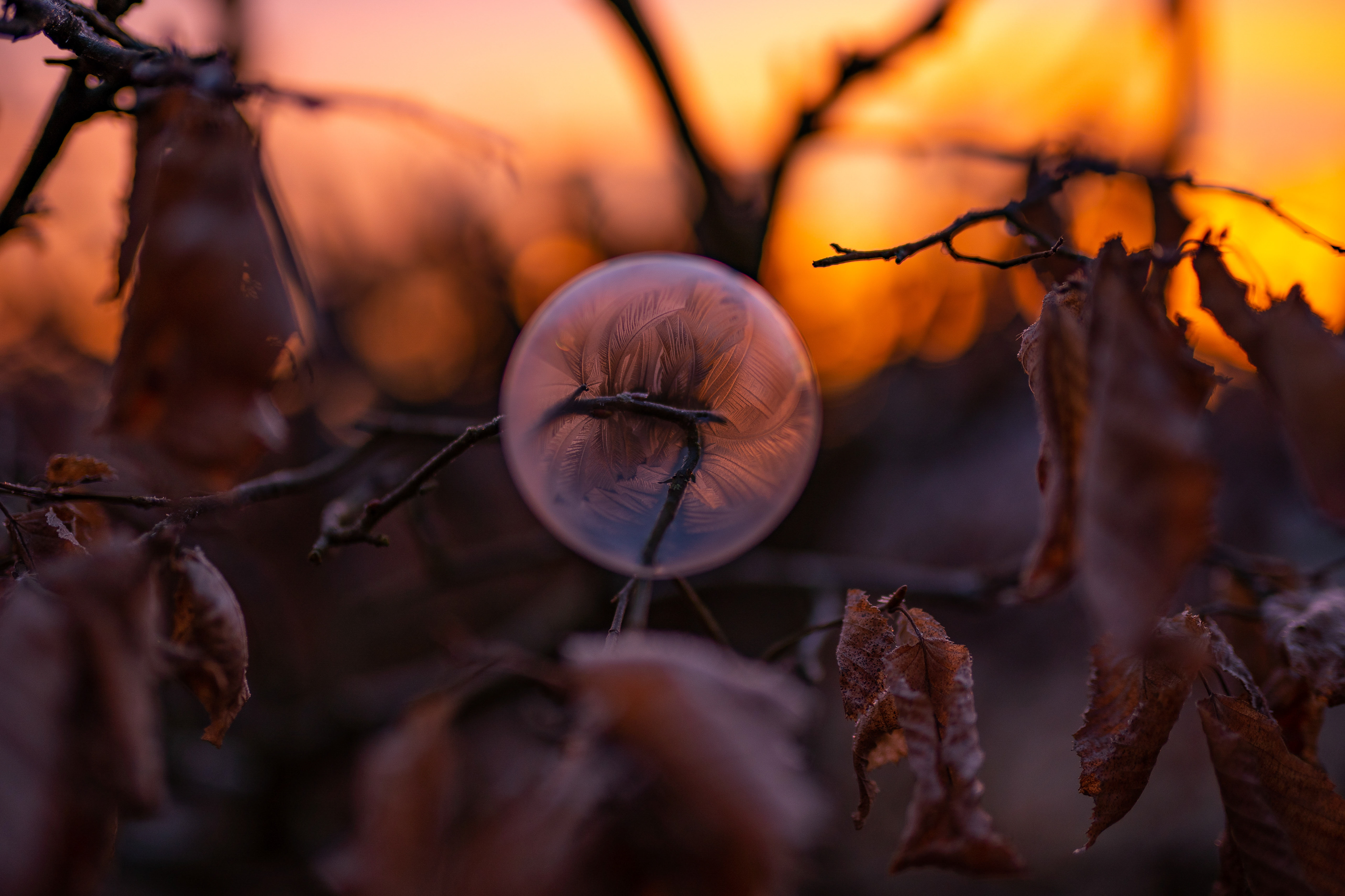 Gefrierende Seifenblase bei Morgenröte