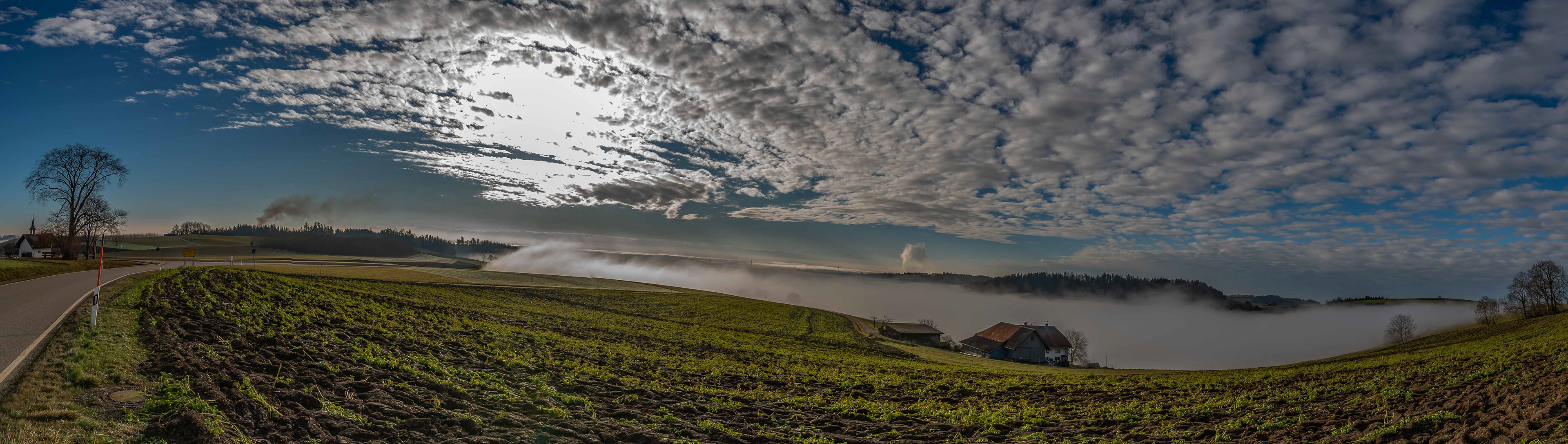Nebelstimmung bei Nögenschwiel