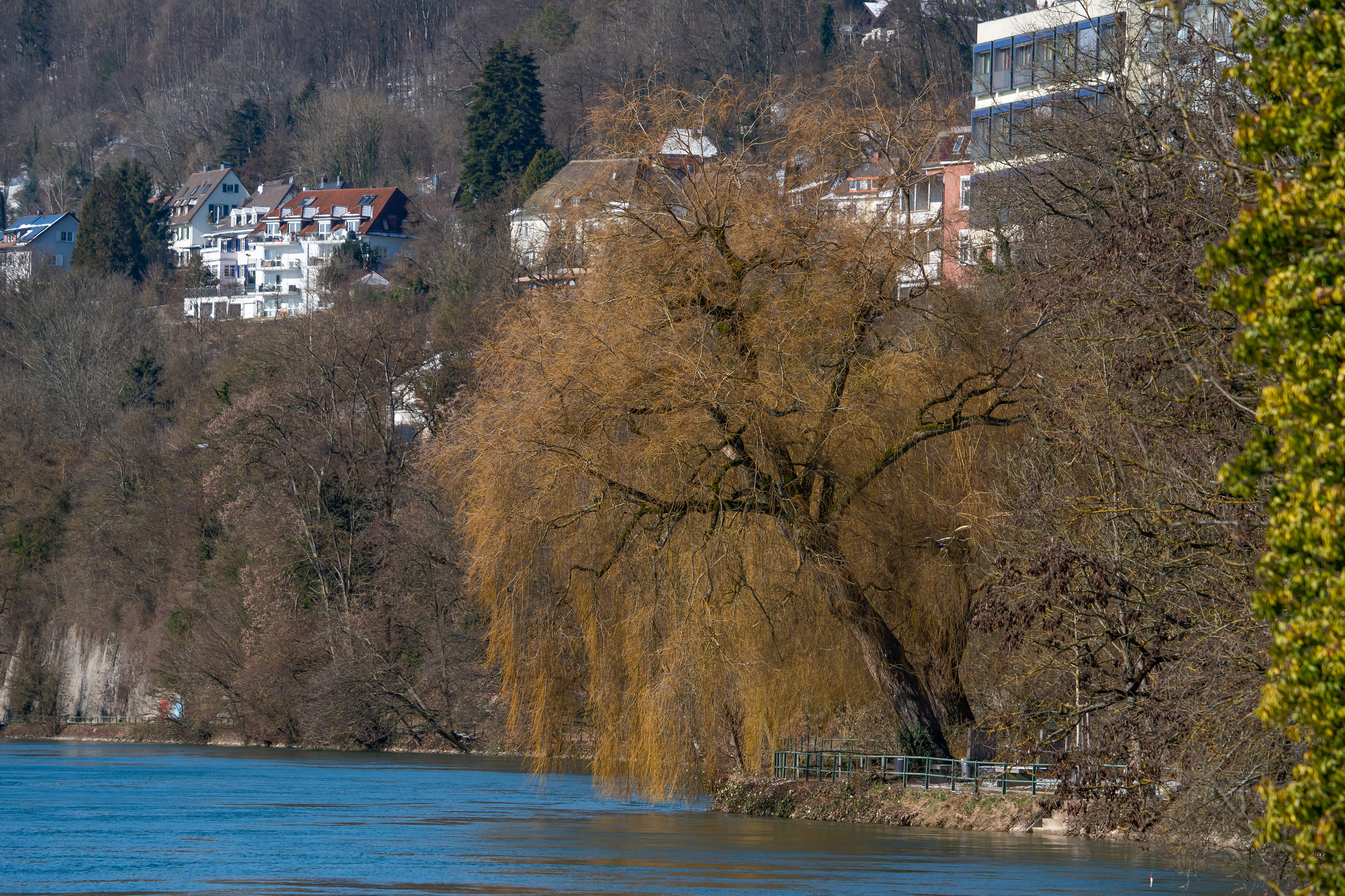 Waldshut am Rhein
