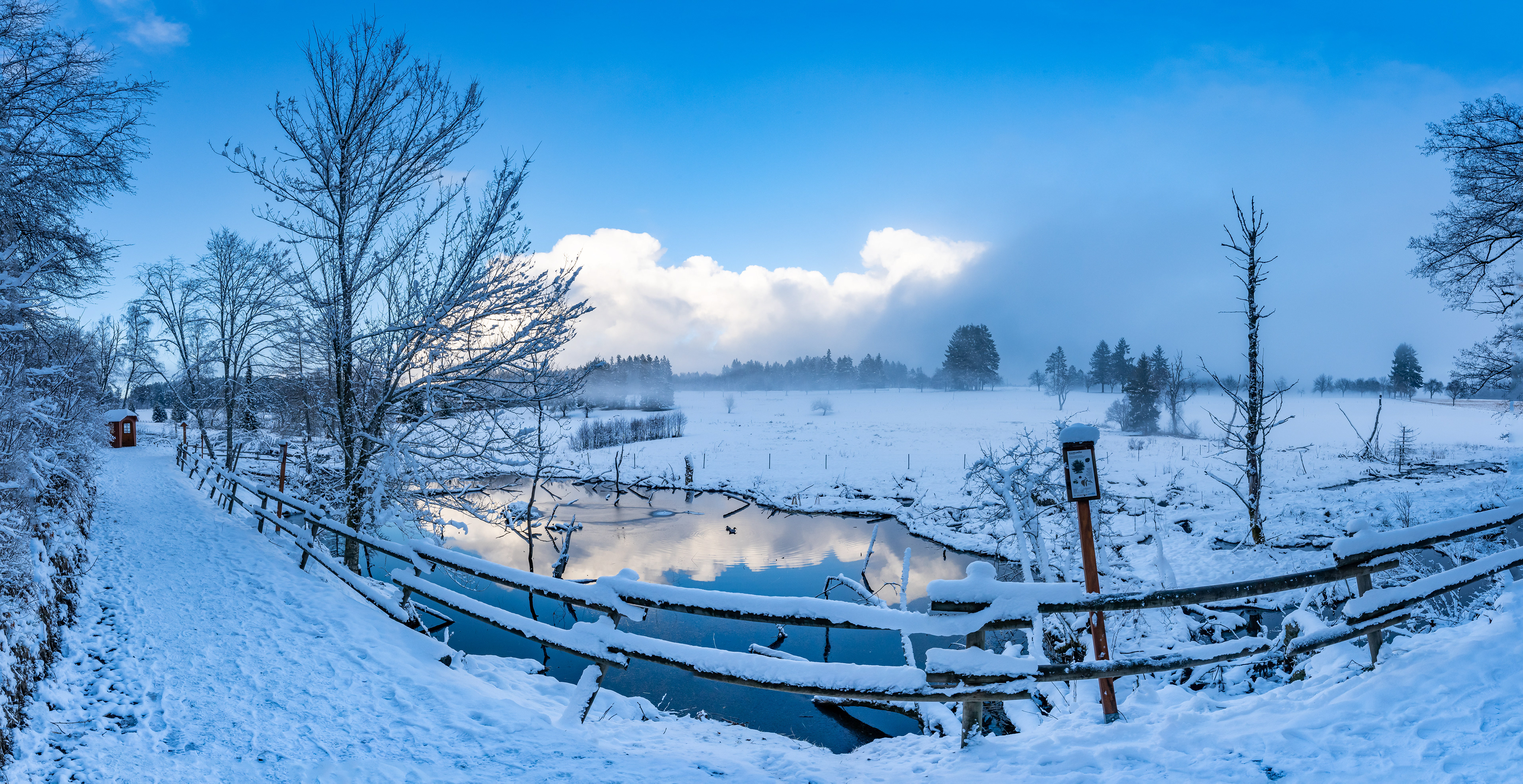 zwischen Grafenhausen und dem Schlüchtsee