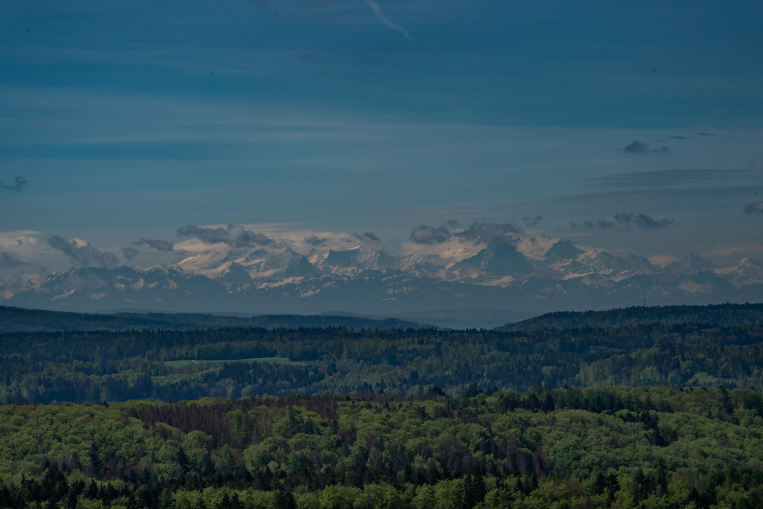 Blick von der Küssaburg auf die Schweizer Alpen
