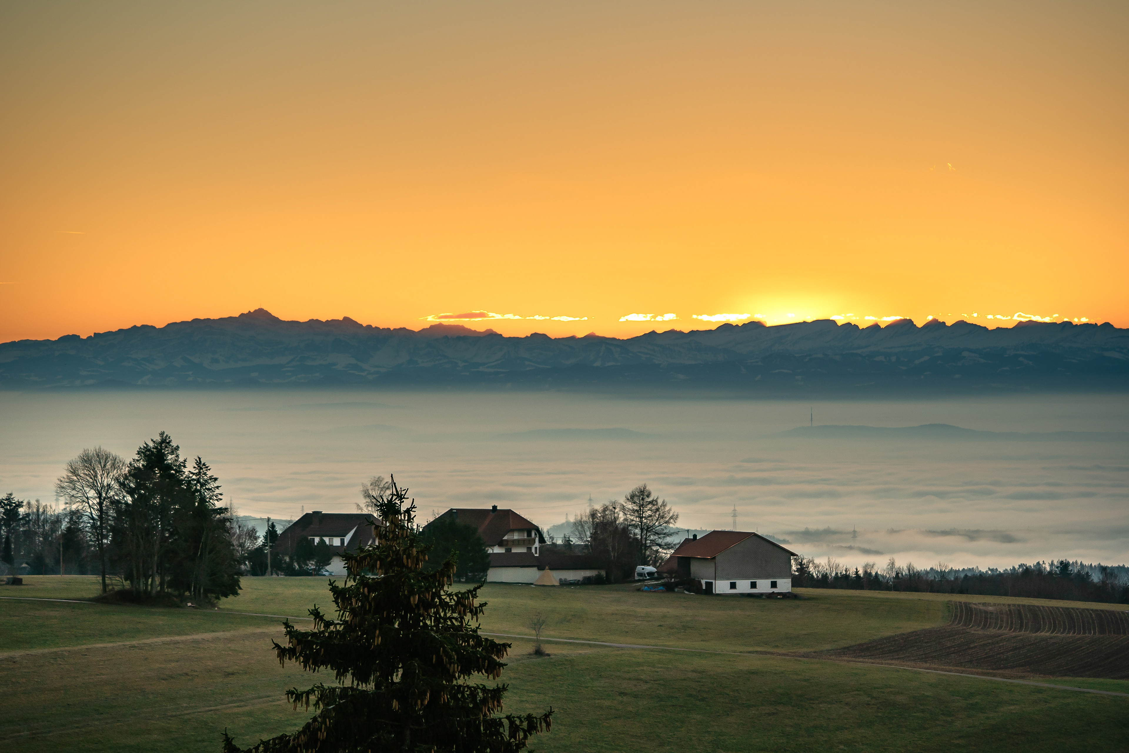 Morgens bei Tiefenhäusern mit dem Tele