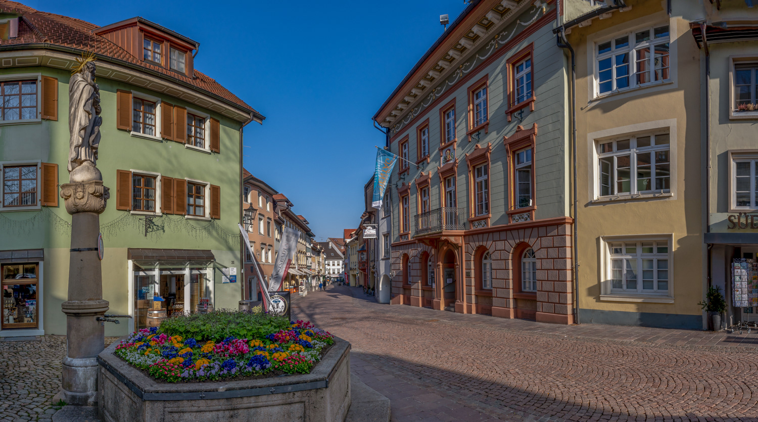 Frühling in Tiengen