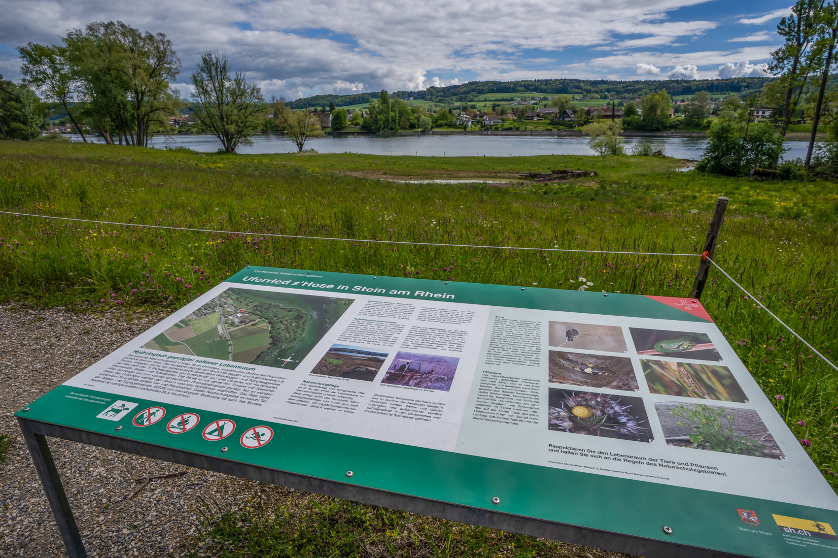Uferried z`hose bei Stein am Rhein