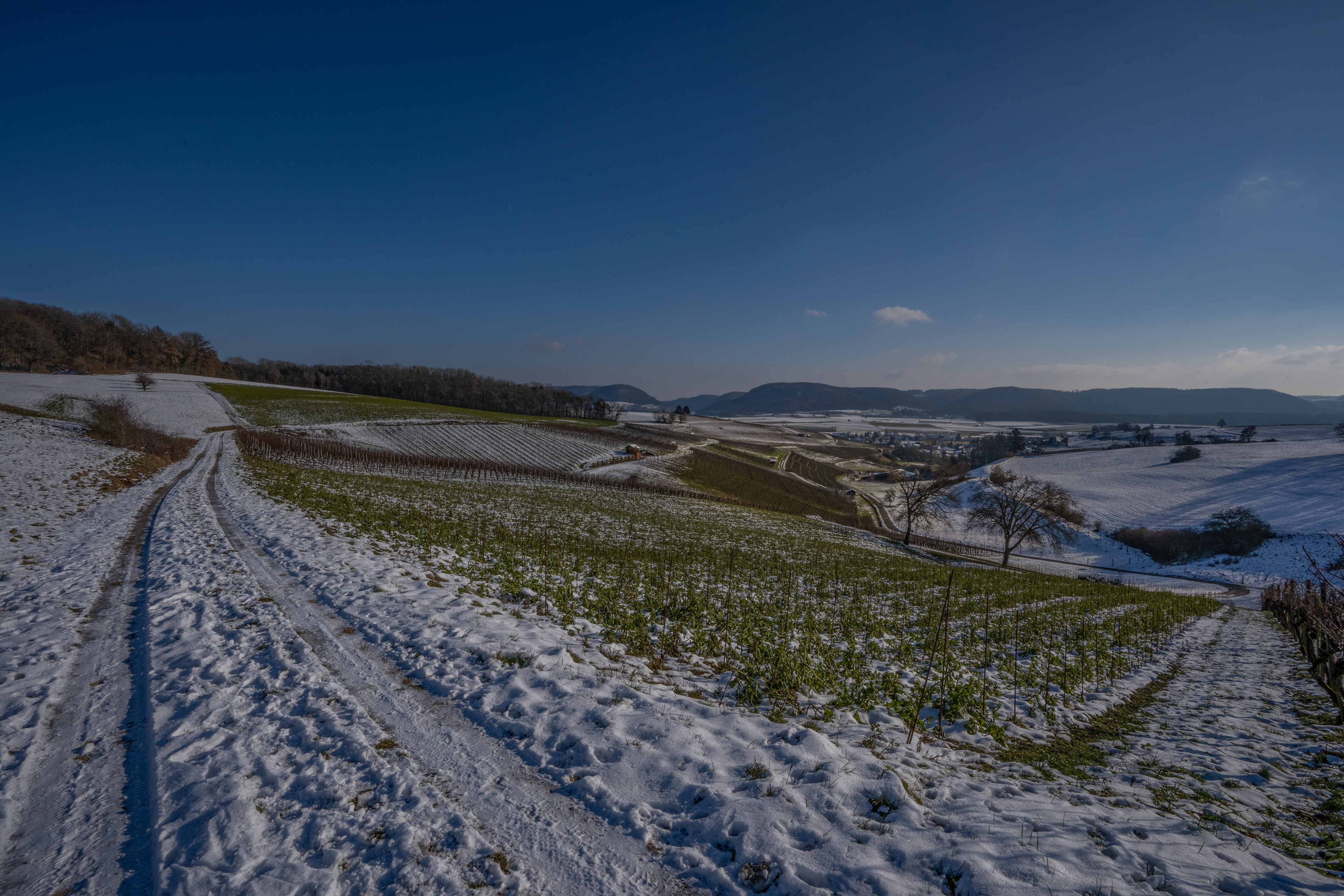 Blick nach Wilchingen CH