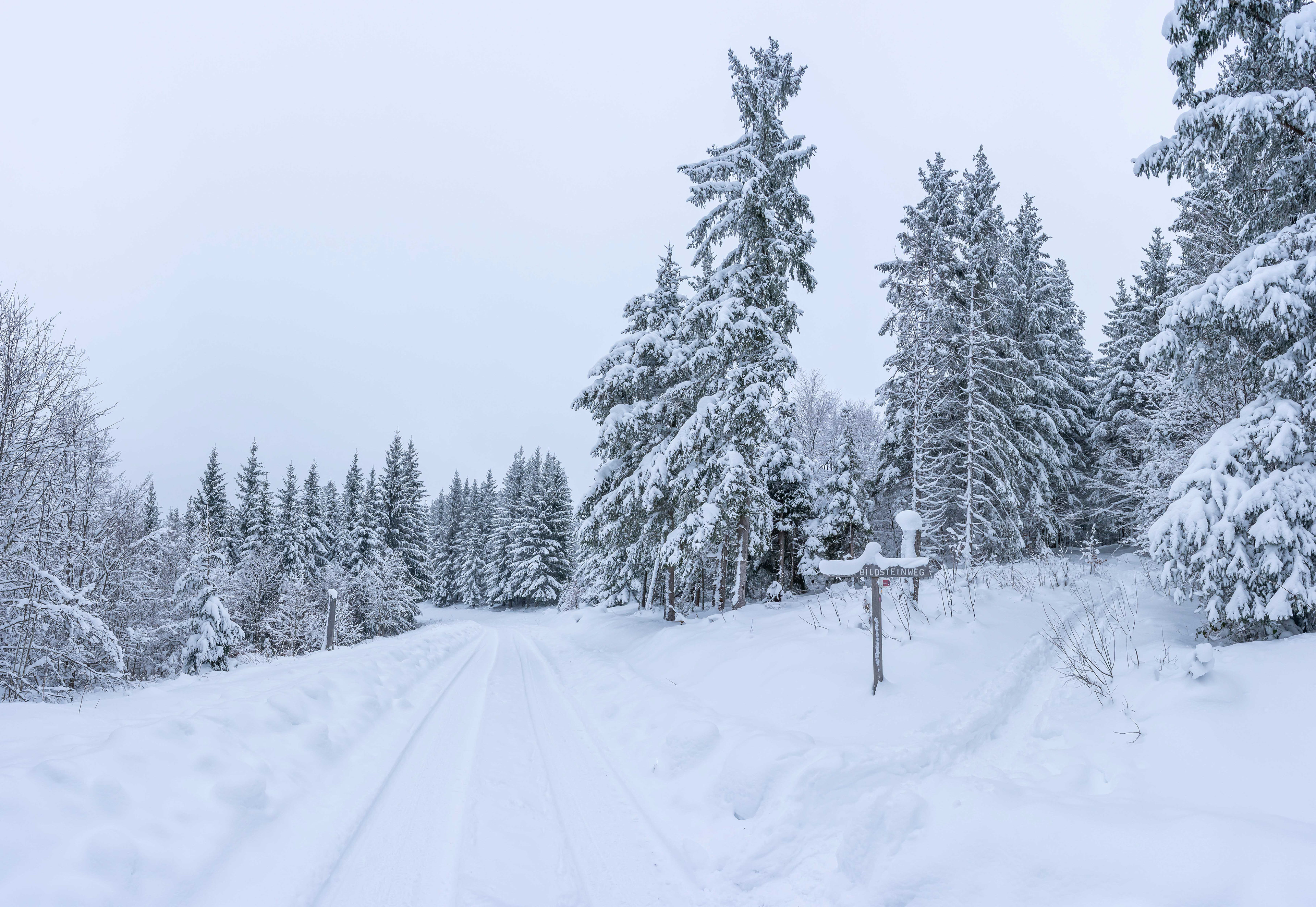 Jägersteig Schluchsee