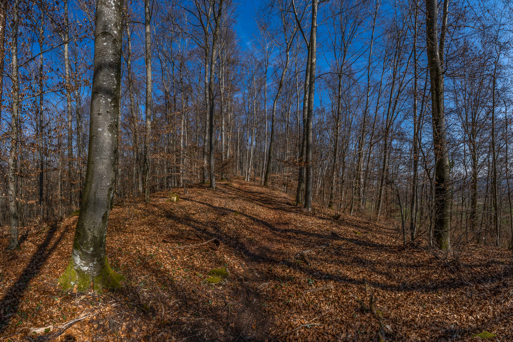 Wanderweg beim Vitibuck