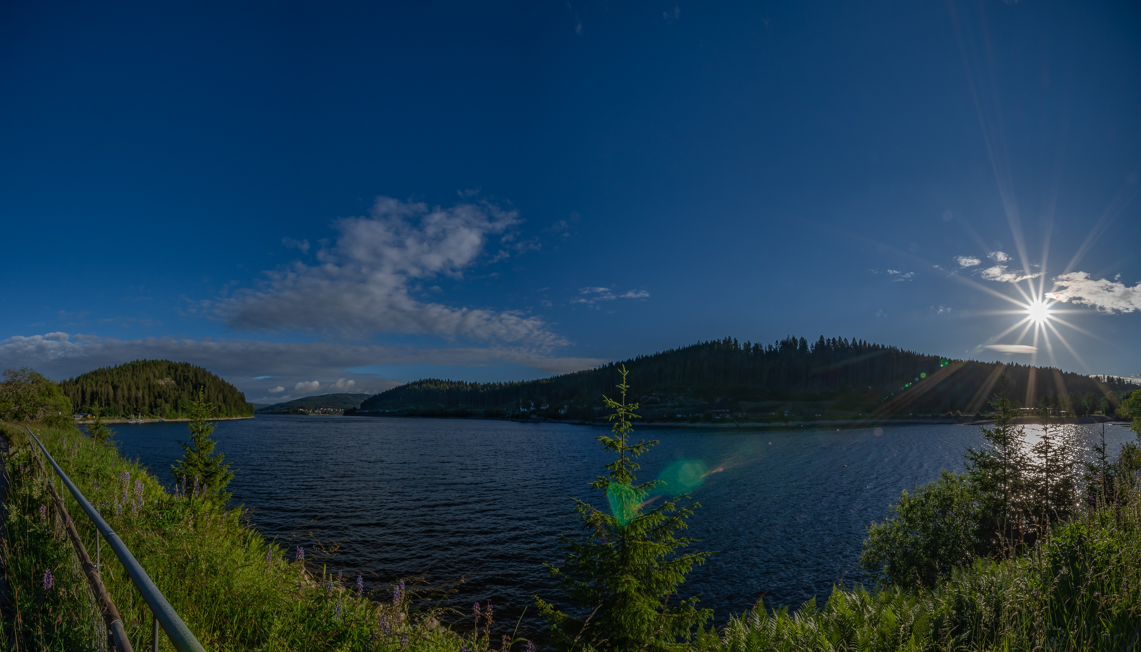 Morgens am Schluchsee