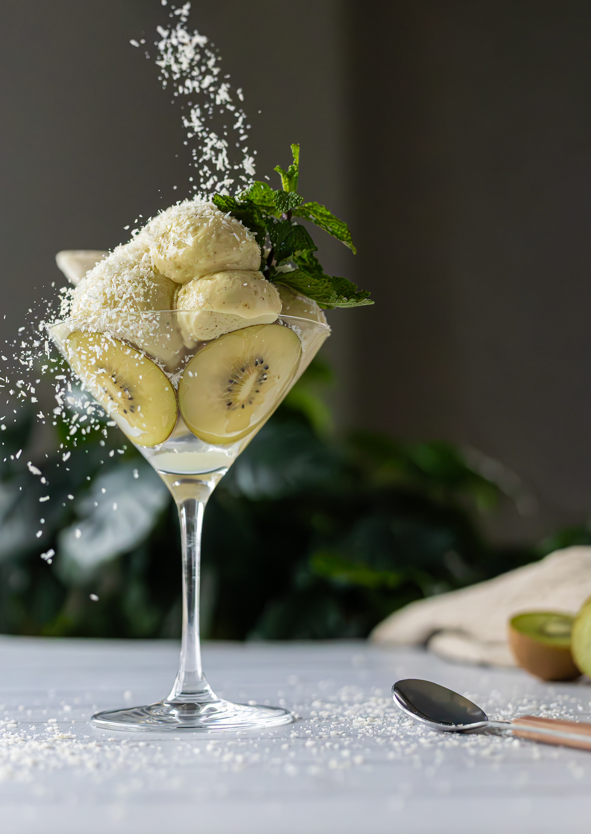 Rezeptfoto © Evelyn Klein für das Buch "Eis Deluxe mit der Ninja Creami" von Veronika Pichl