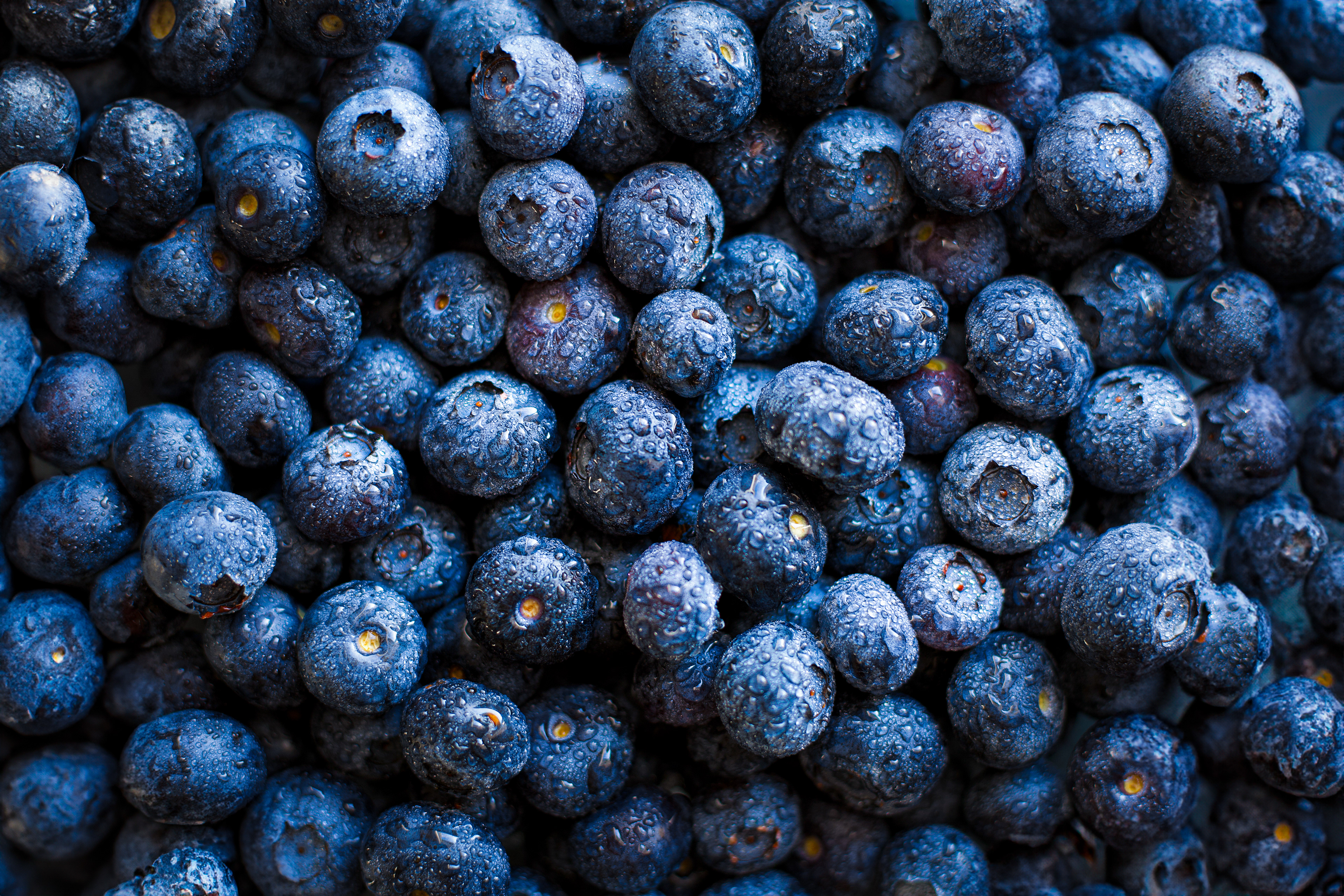 Heidelbeeren