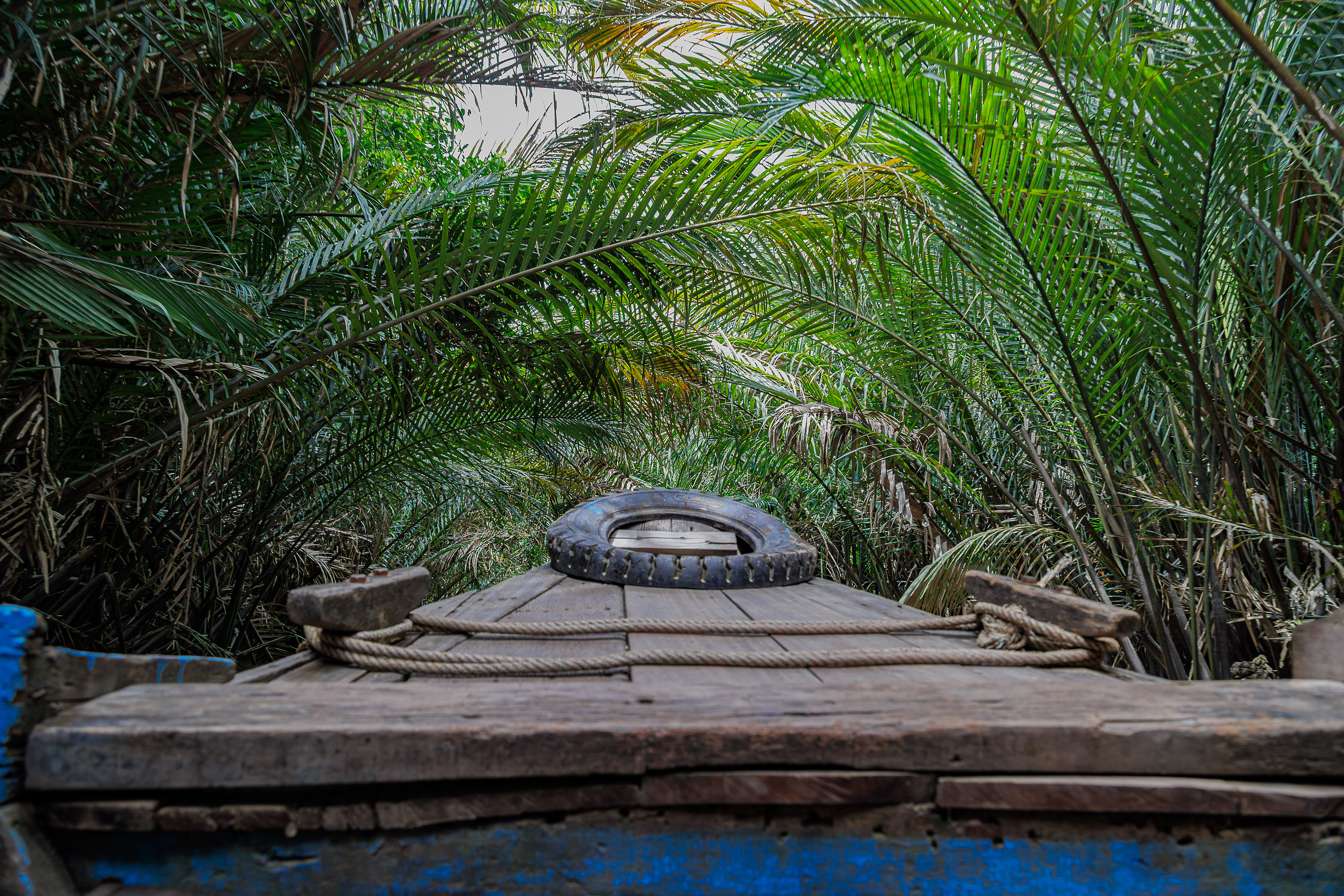 Mekong Delta