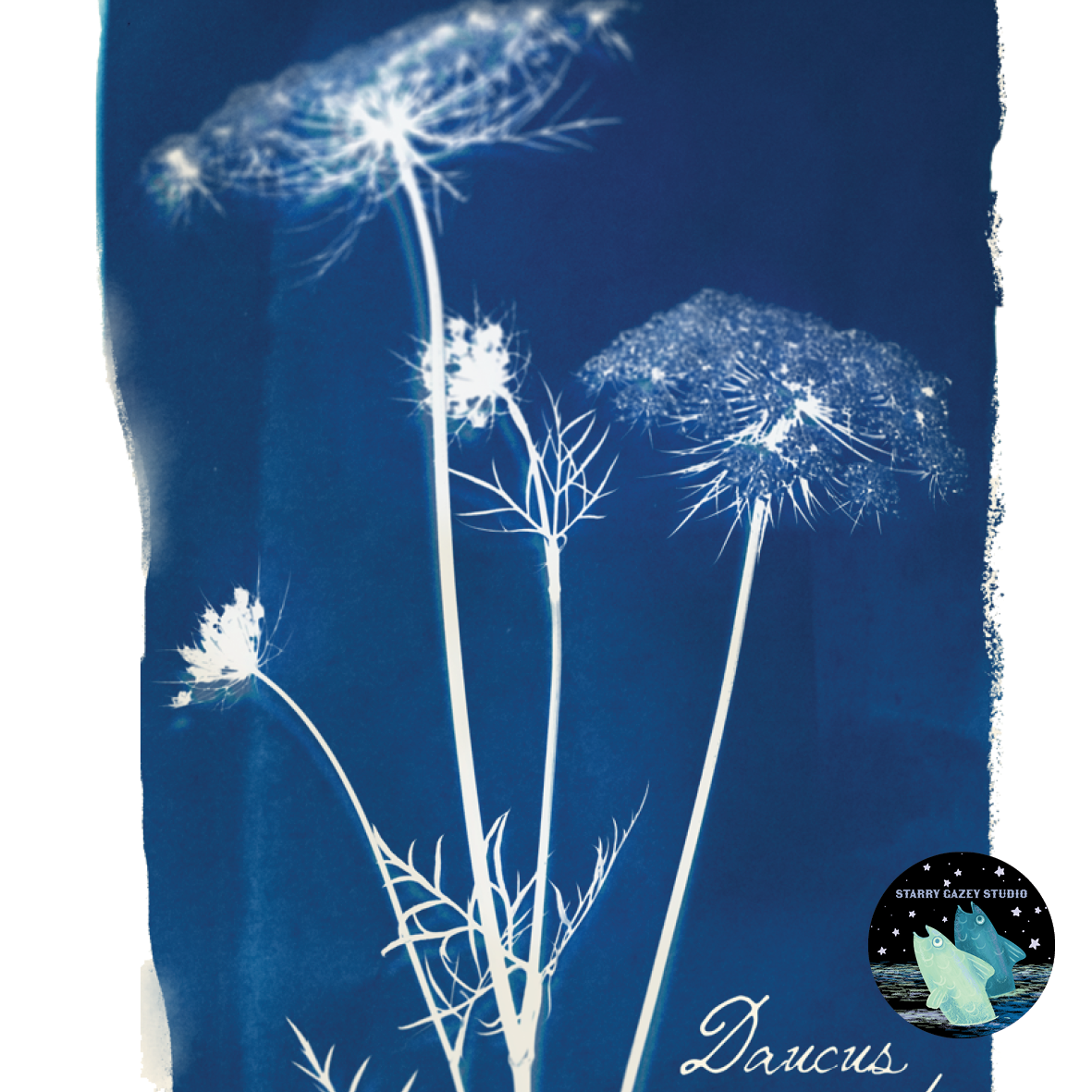 Notes from the Meadow - a Wildflower Cyanotype Study Wallpaper: https://www.spoonflower.com/en/wallpaper/21259918-notes-from-the-meadow-a-wildflower-cyanotype-study-by-starry_gazey_studio