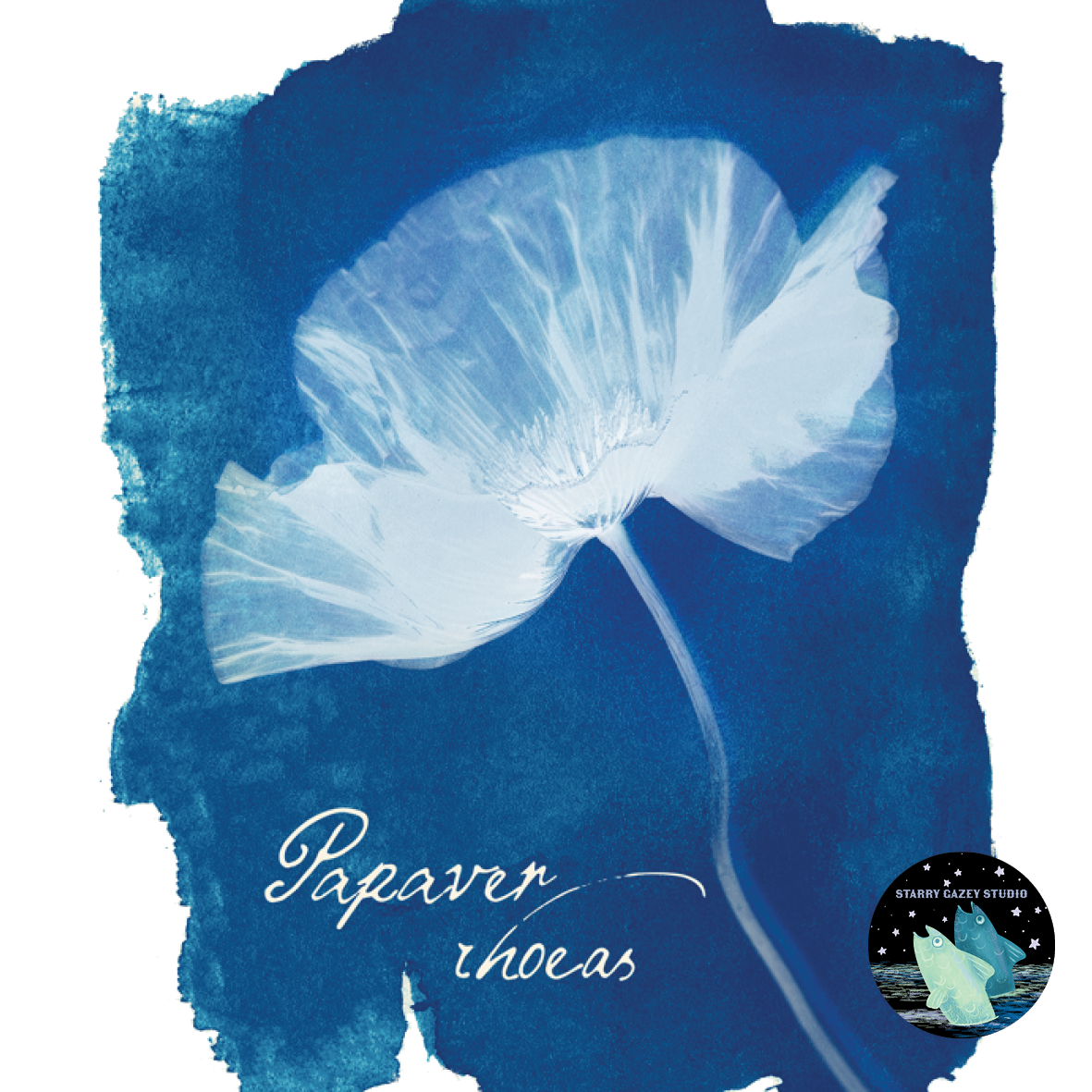 Notes from the Meadow - a Wildflower Cyanotype Study Wallpaper: https://www.spoonflower.com/en/wallpaper/21259918-notes-from-the-meadow-a-wildflower-cyanotype-study-by-starry_gazey_studio