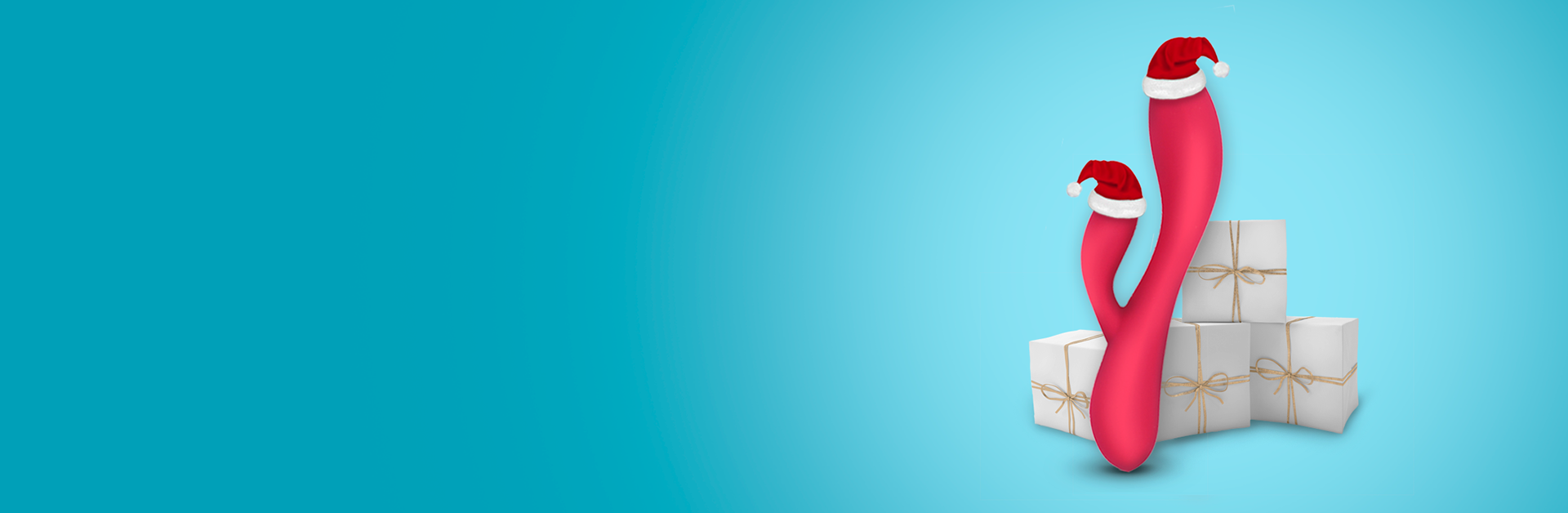 Banner Web