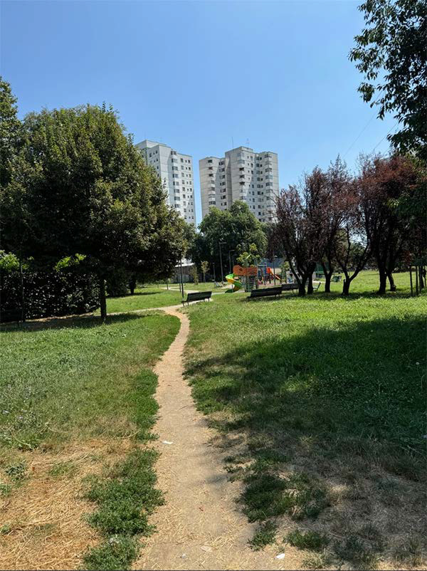 Site Visit
