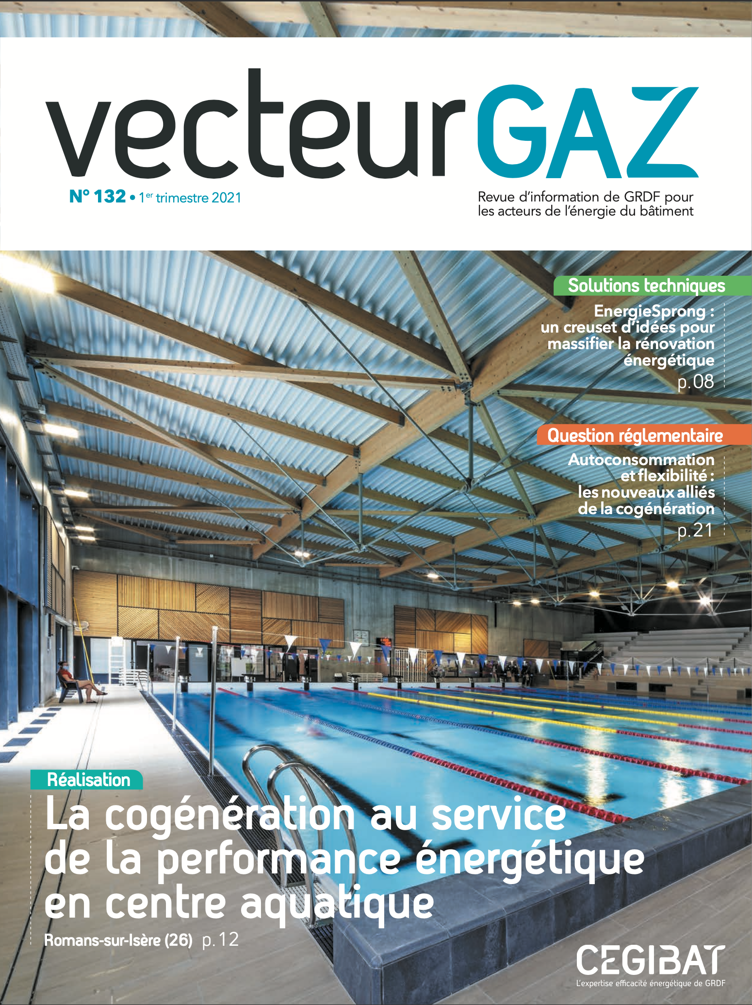 Vecteur Gaz CEGIBAT #132