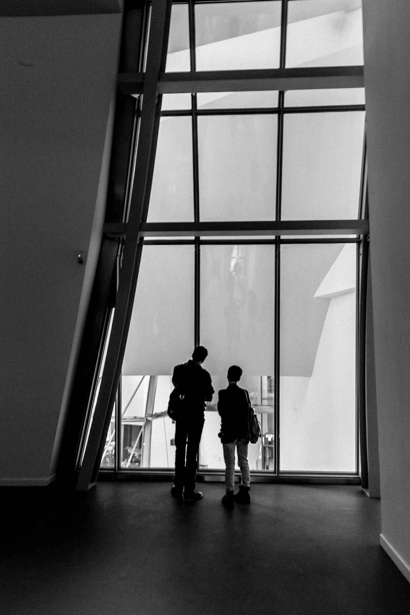 Fondation Louis Vuitton