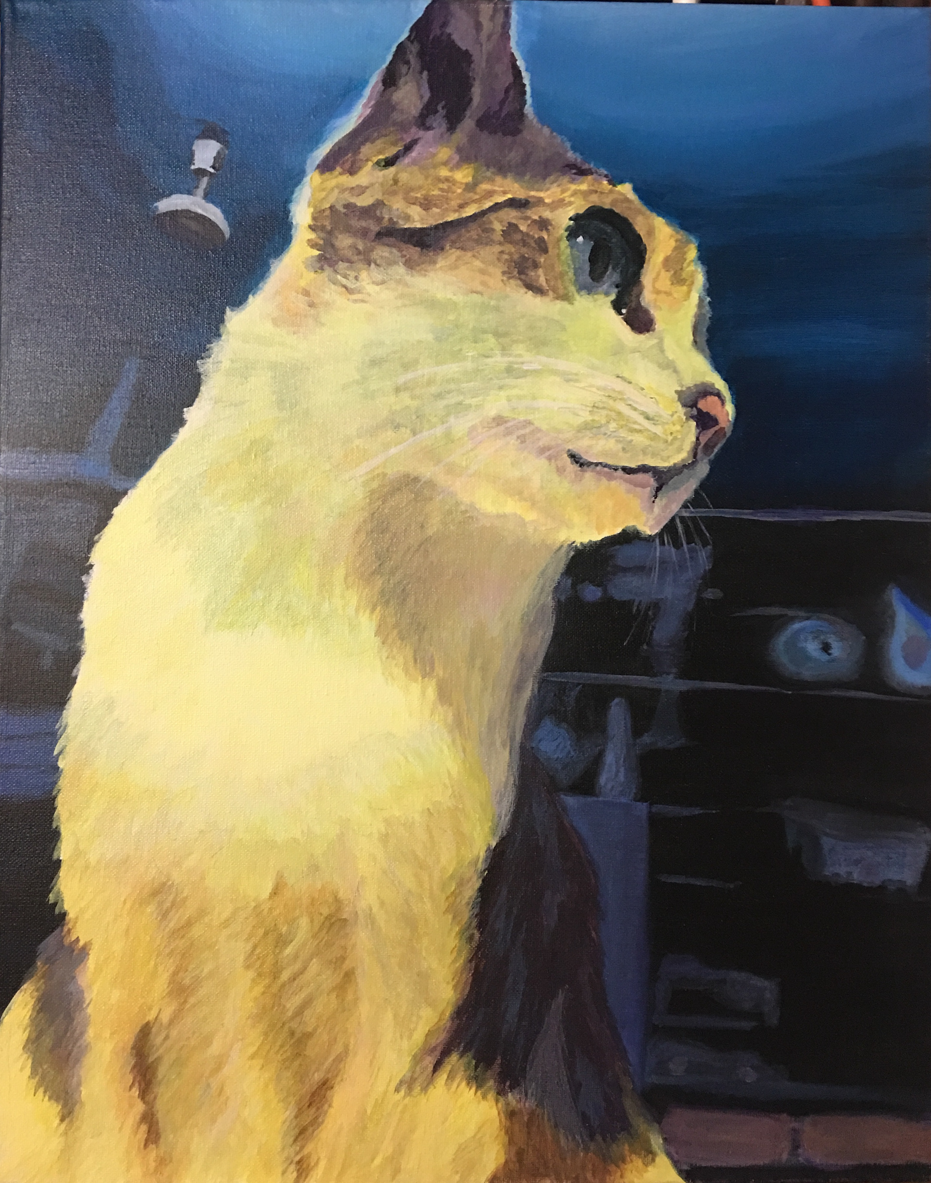 My Dear Cat I 2018