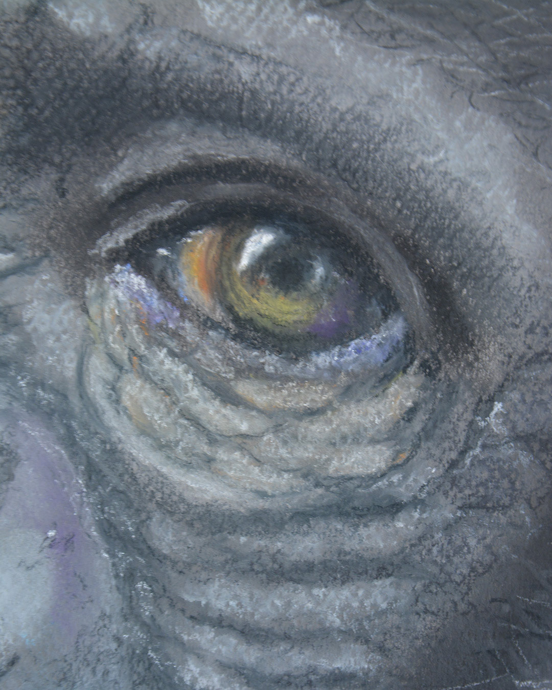 «Monita» Detalle