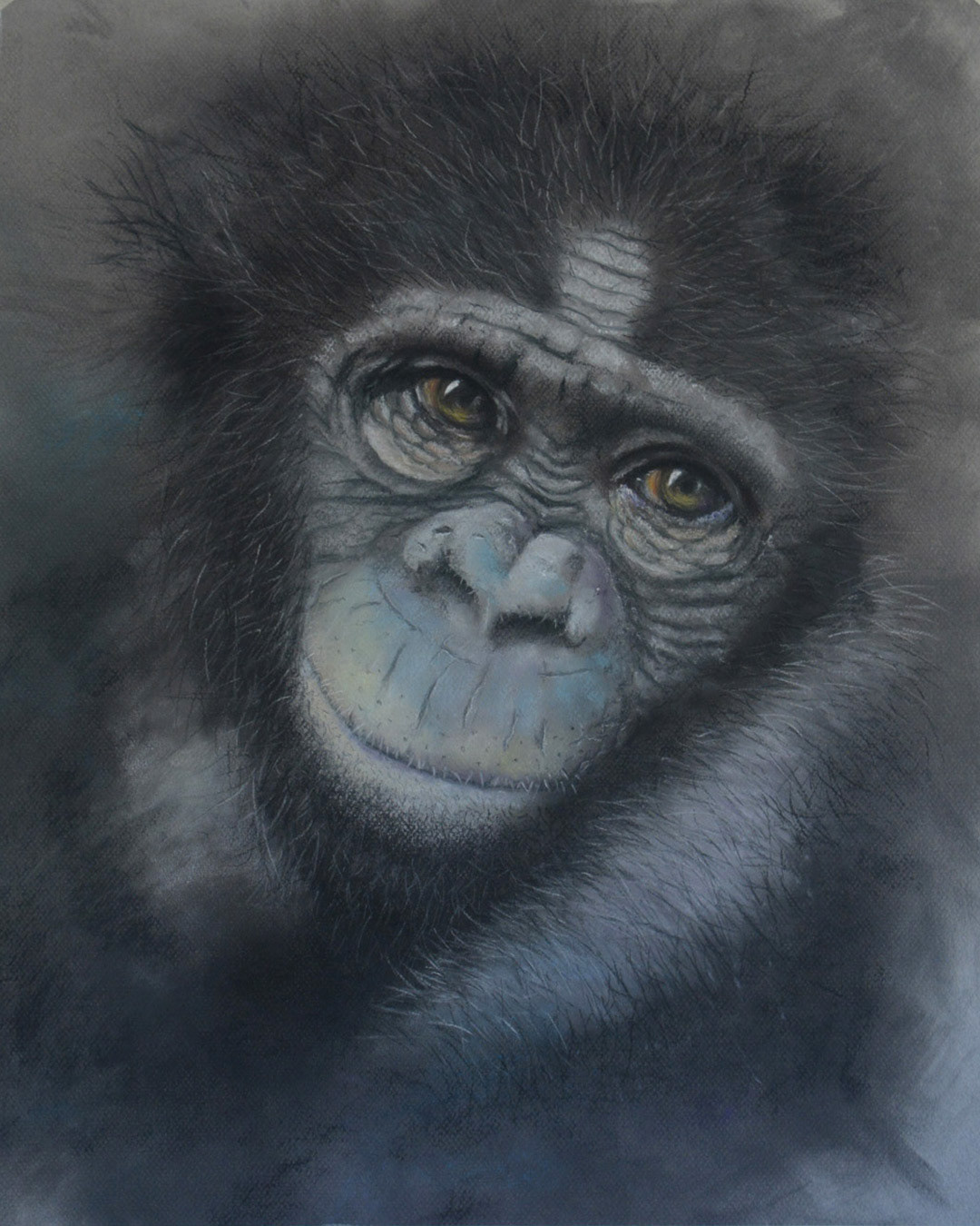 «Monita» Pastel. 46x54cm. 2023